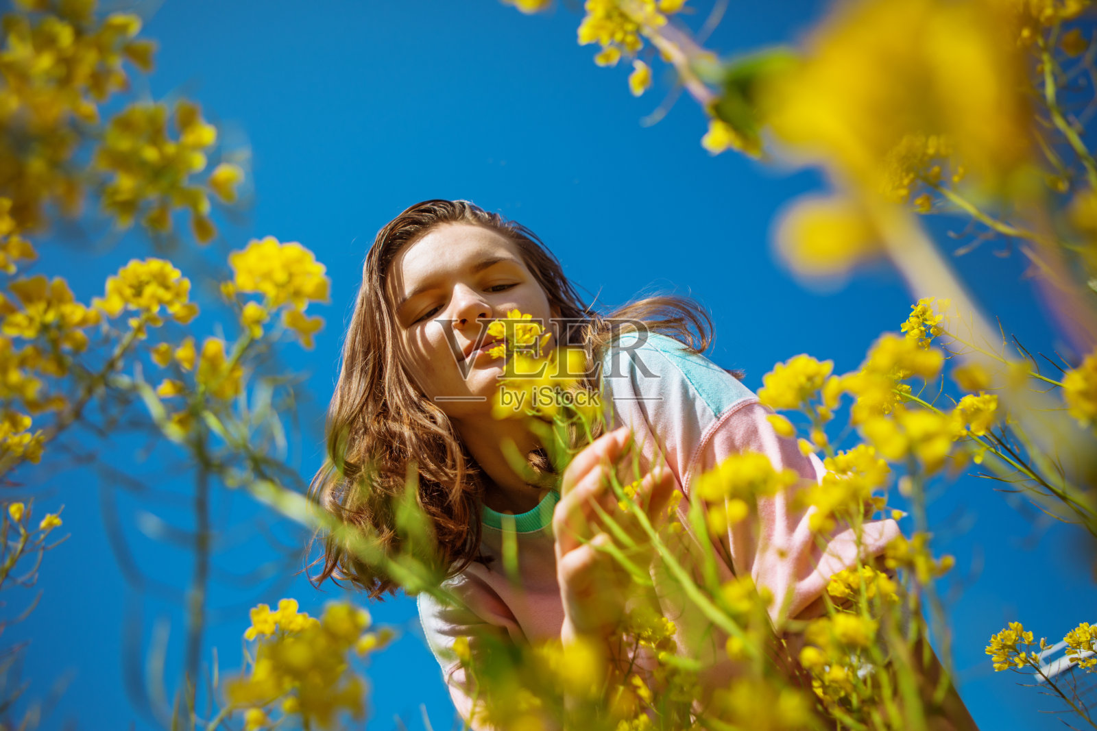 美丽的黑发女孩在一片黄花中照片摄影图片