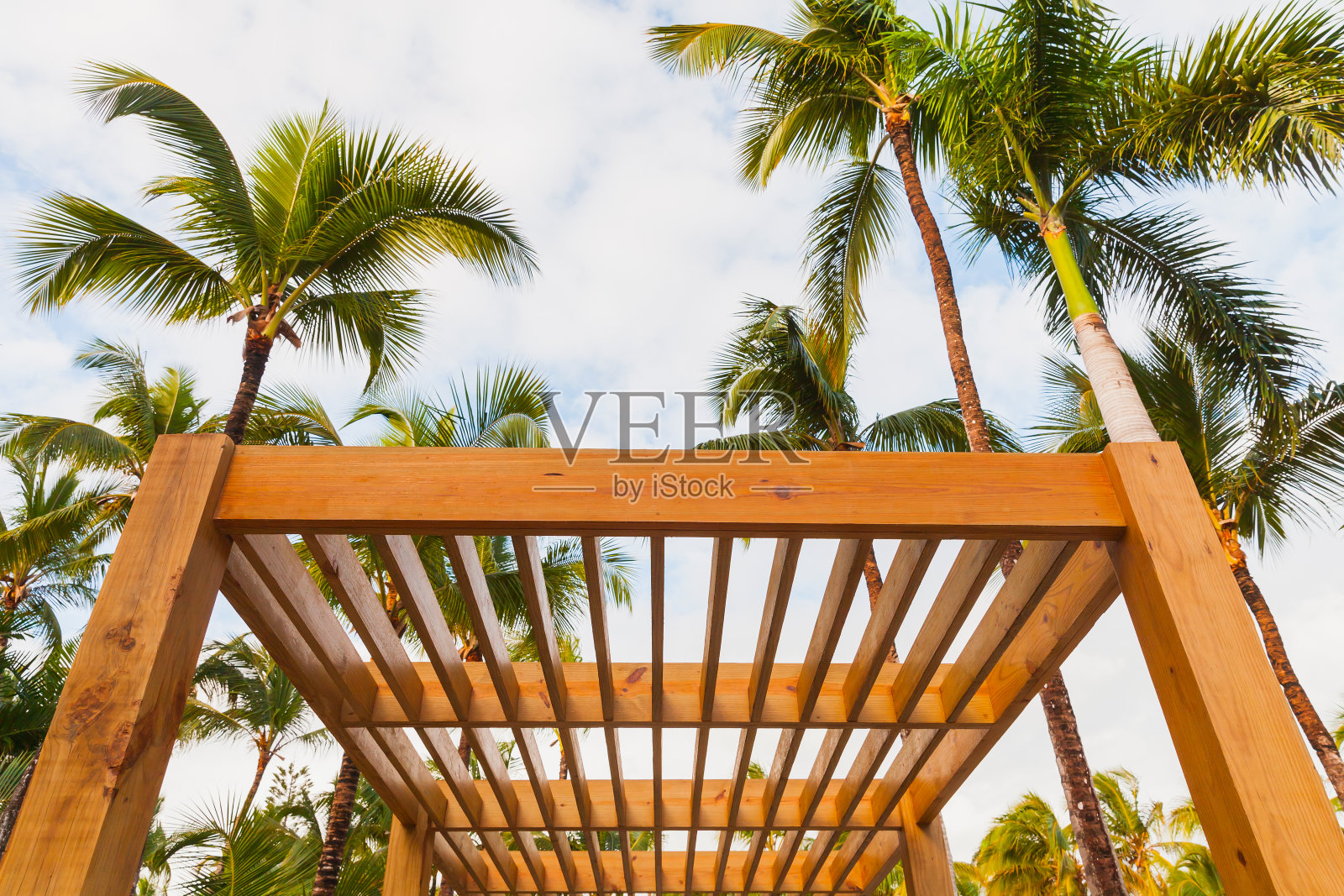 木制遮阳结构和棕榈树照片摄影图片