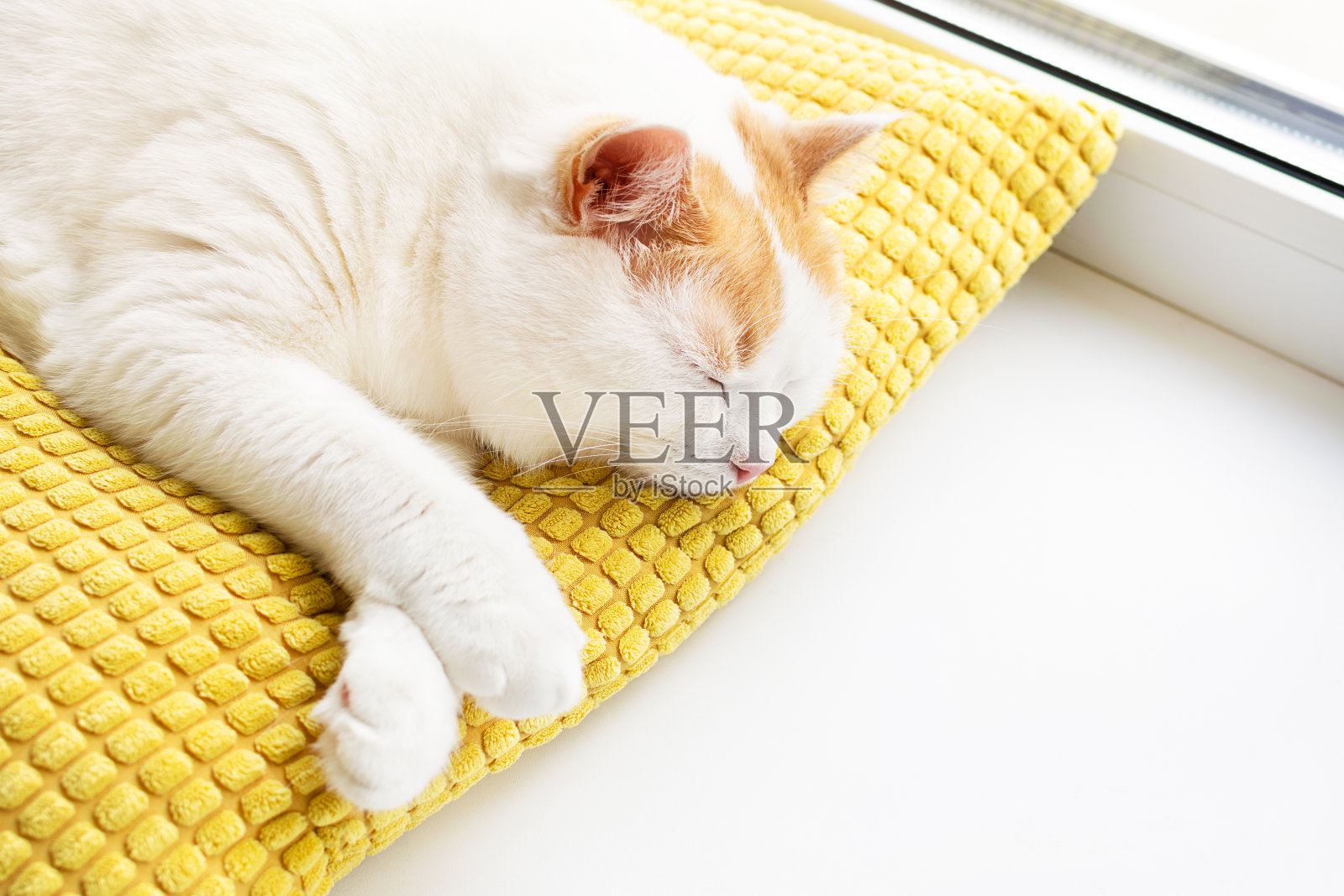 可爱的白色和姜黄色的猫睡在窗台上的枕头。照片摄影图片