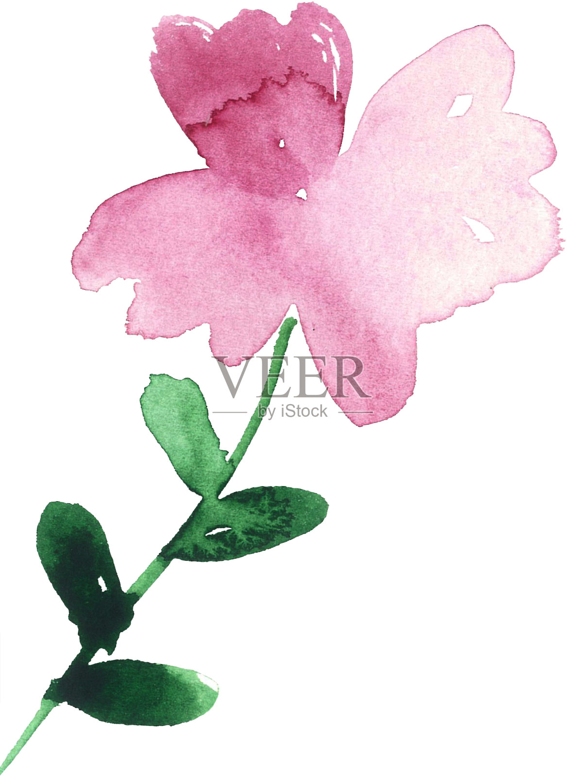 手绘水彩花卉卡片。插画图片素材