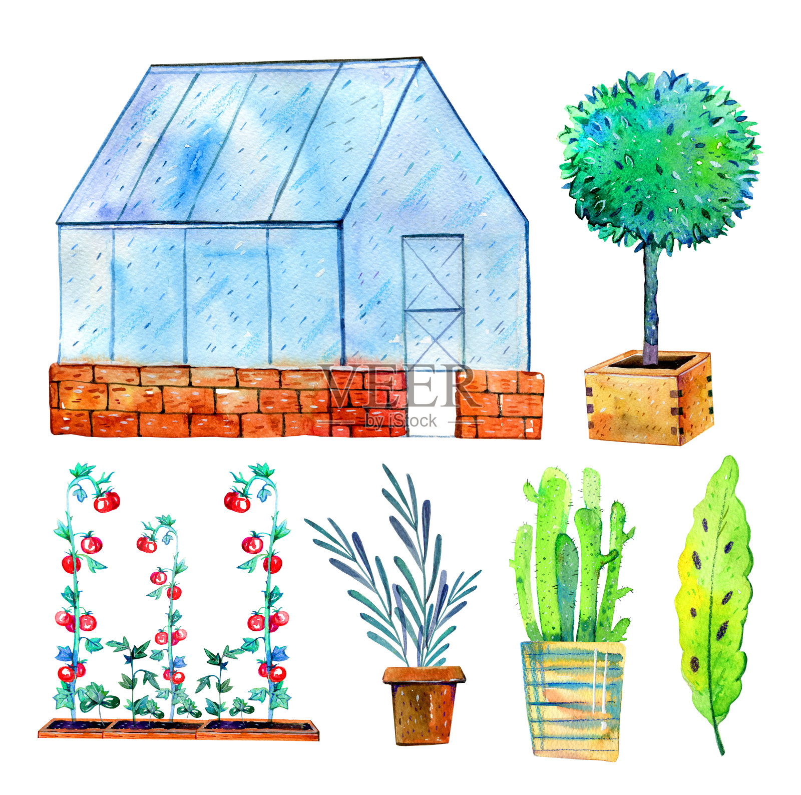 设置温室和植物。手绘水彩素描插图孤立的白色背景设计元素图片