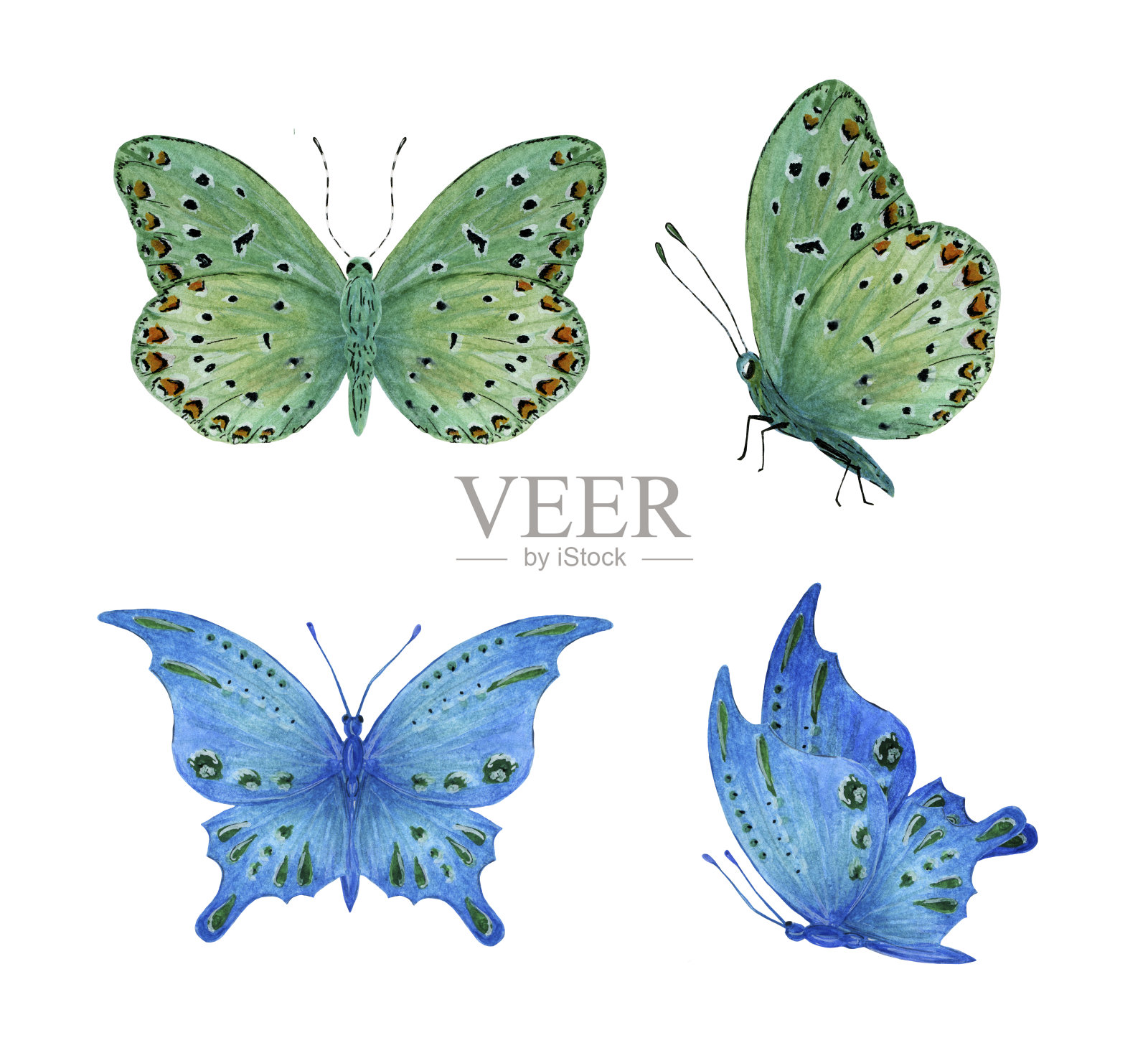 在白色的背景上有图案的蓝色和绿色蝴蝶的水彩剪辑。设计元素图片
