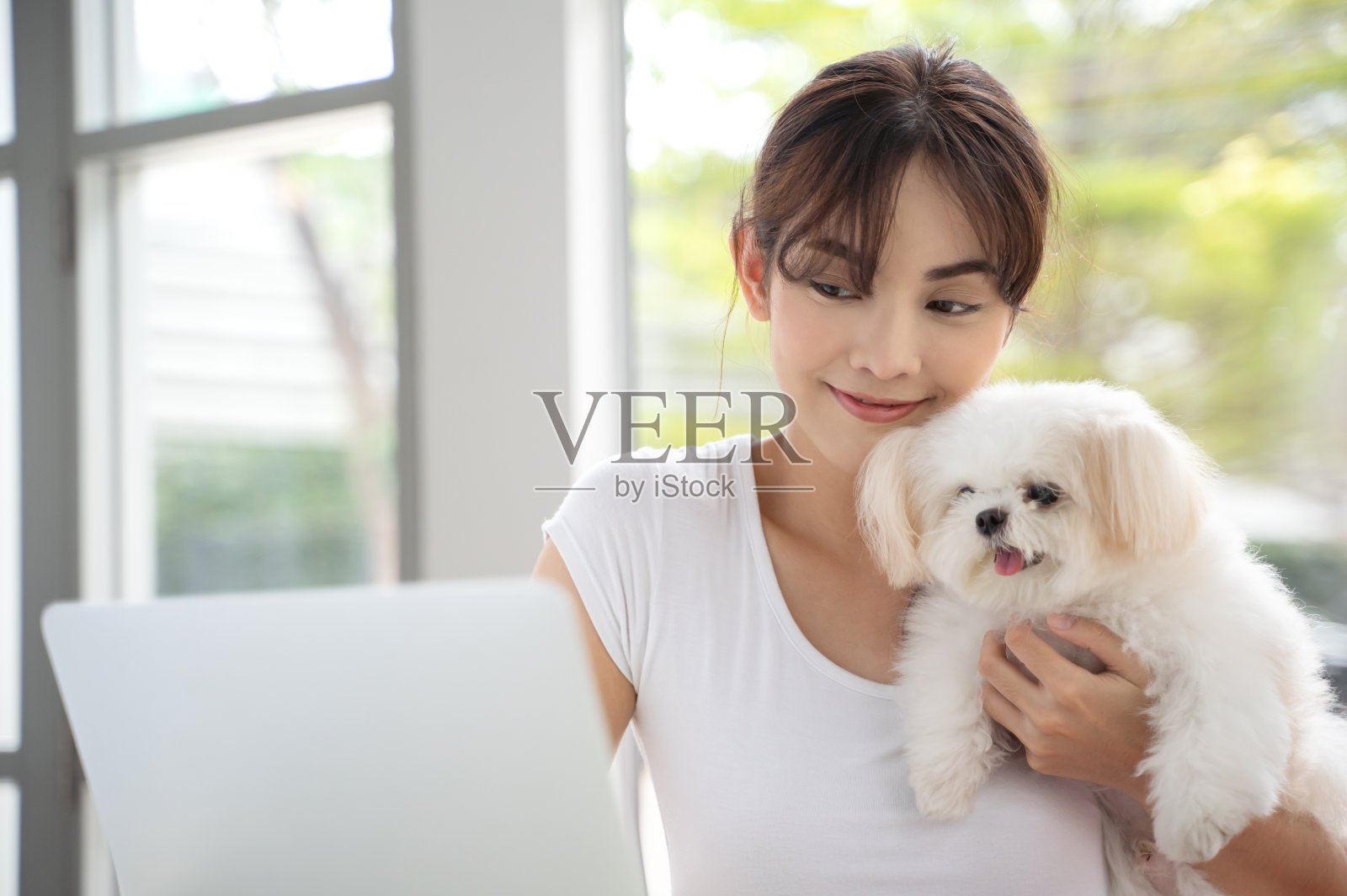 年轻的亚洲女人工作在笔记本电脑旁边她的狗吉娃娃感觉幸福的工作形式的家庭概念照片摄影图片