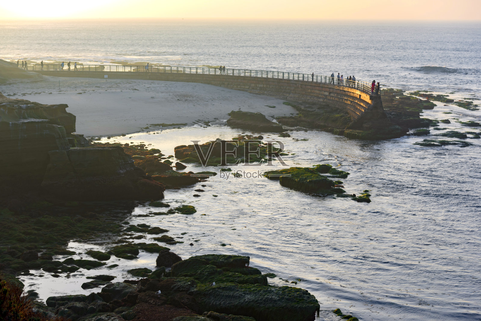 美国圣地亚哥附近的拉霍亚海滩退潮照片摄影图片
