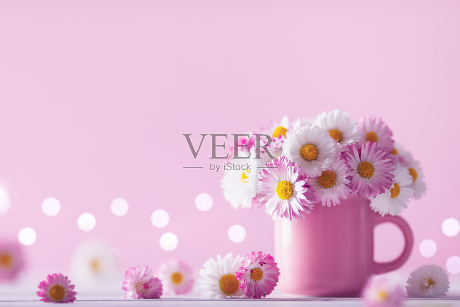 一束美丽的英国雏菊花在粉红色的杯中，映衬着闪闪发光的背景。夏天的静物与小洋甘菊。母亲节贺卡。照片摄影图片