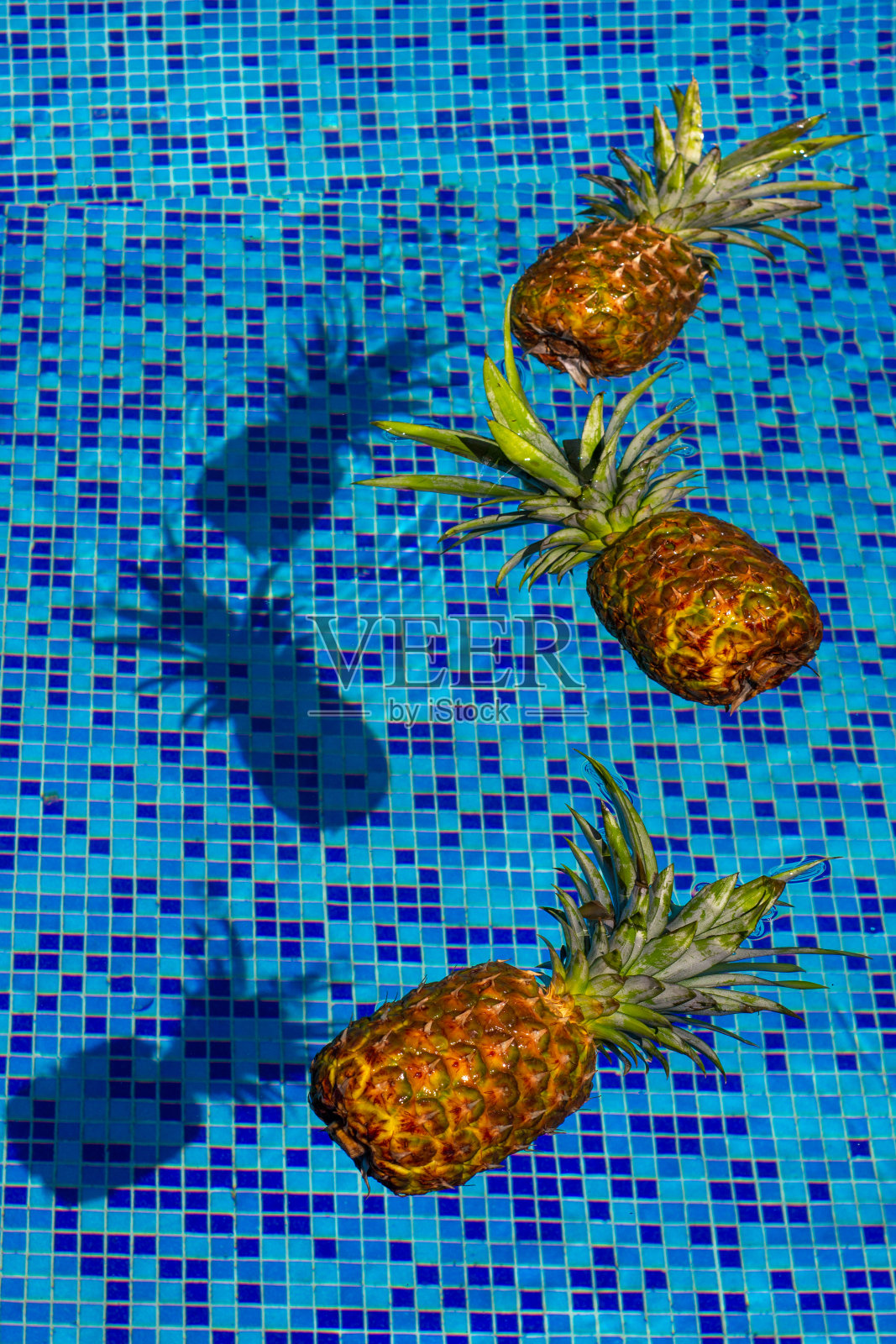 菠萝漂浮在游泳池的蓝色的水。热带度假的概念。奇异的热带背景照片摄影图片