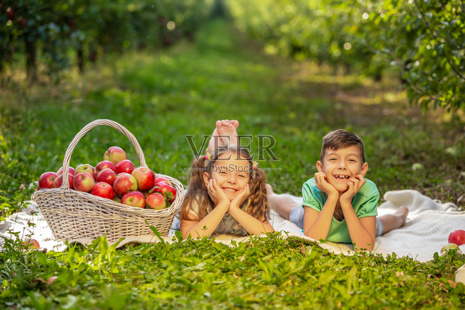 孩子们在夏天的花园里吃着苹果，躺在白色的毯子上。照片摄影图片