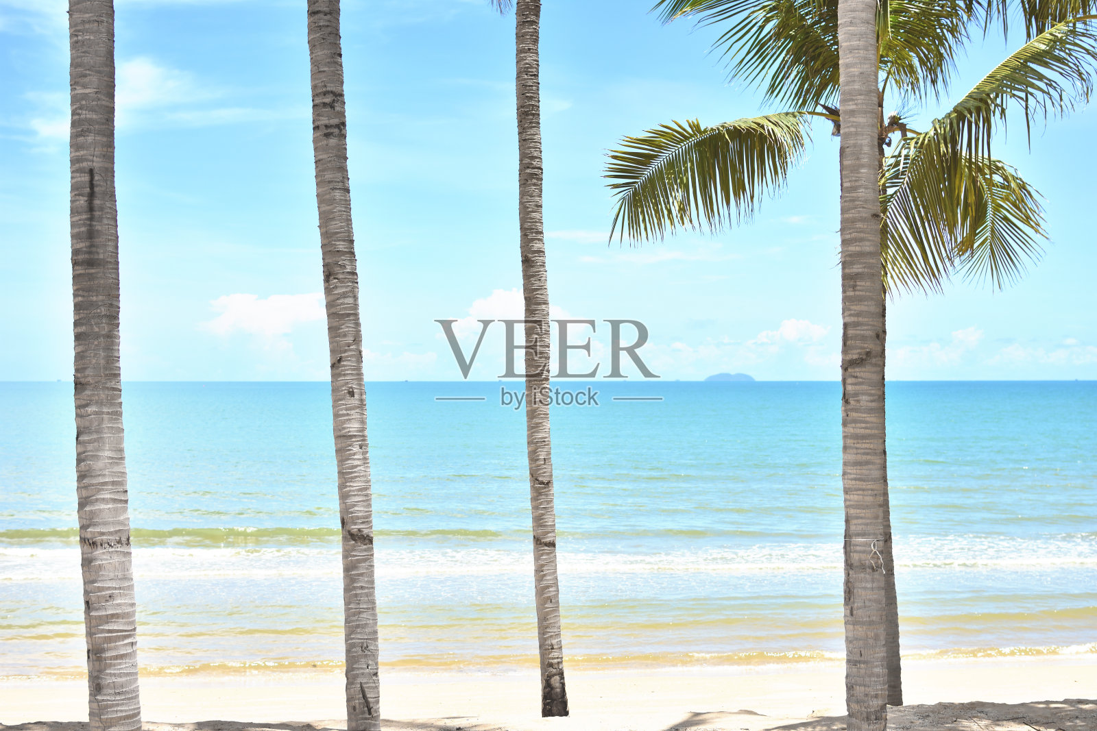 泰国热带海滩，沙滩上有椰子树或棕榈树。照片摄影图片