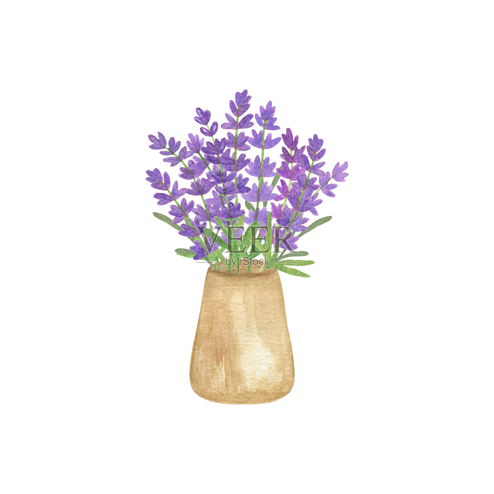 水彩画温柔的薰衣草花在一个古老的乡村花瓶图像贺卡邀请纺织旅游用品，法国普罗旺斯的象征插画图片素材