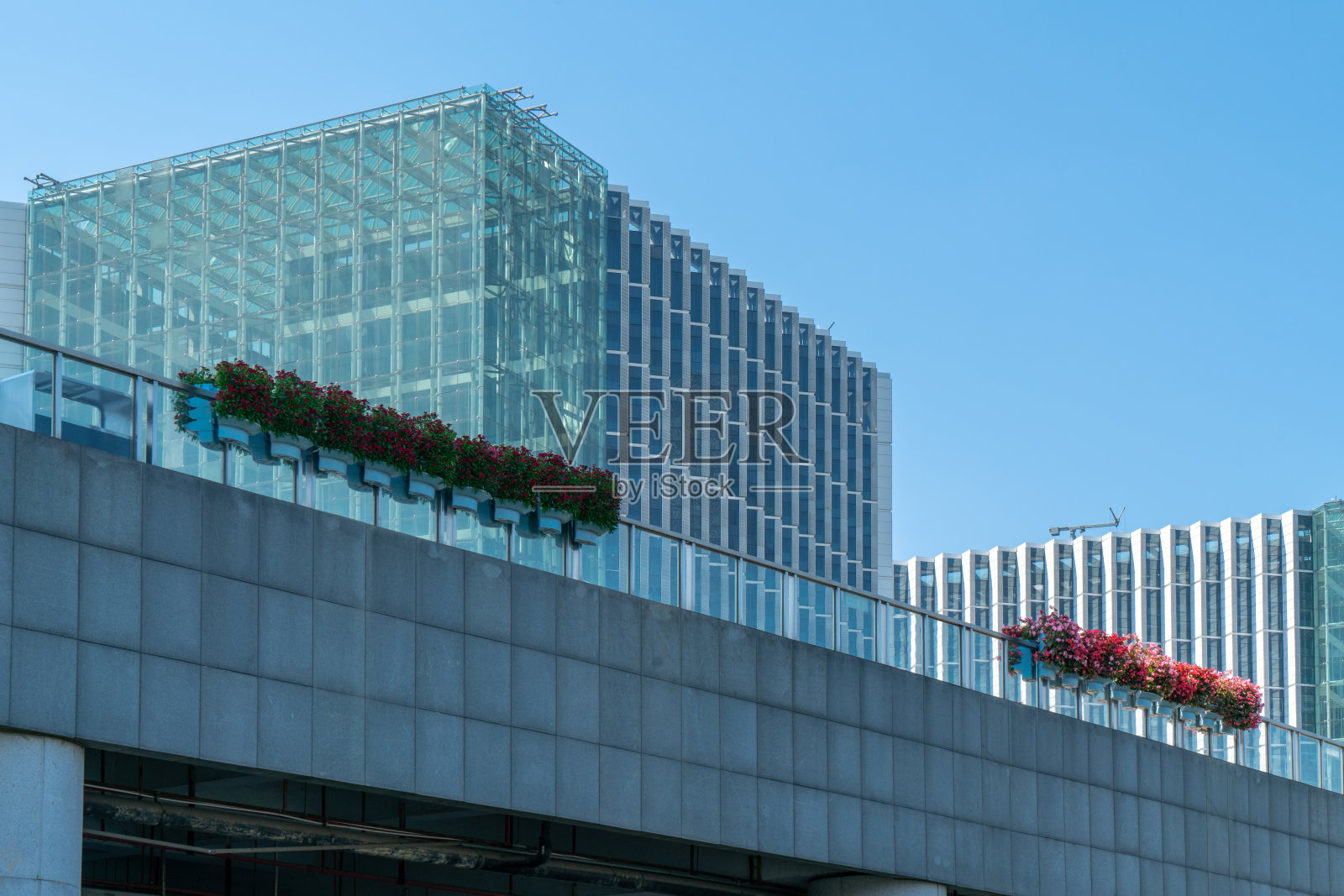 天津金融中心广场办公楼及街景照片摄影图片