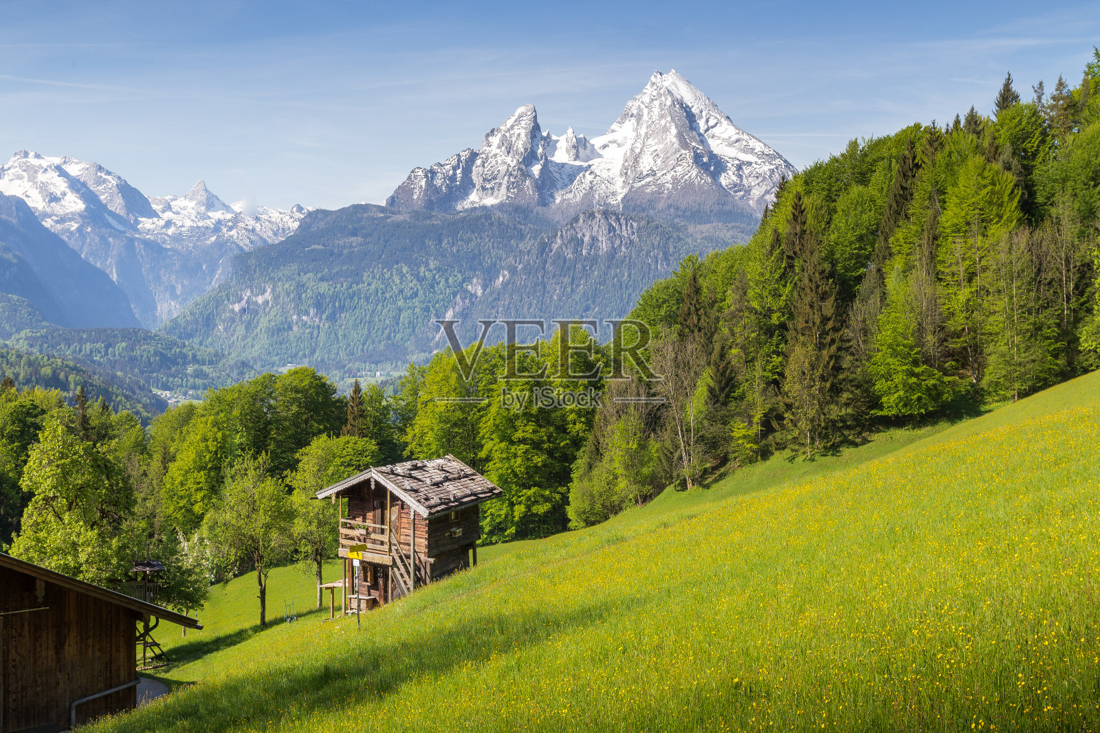 夏季阿尔卑斯山的山景，盛开的草地和传统的山间小屋照片摄影图片
