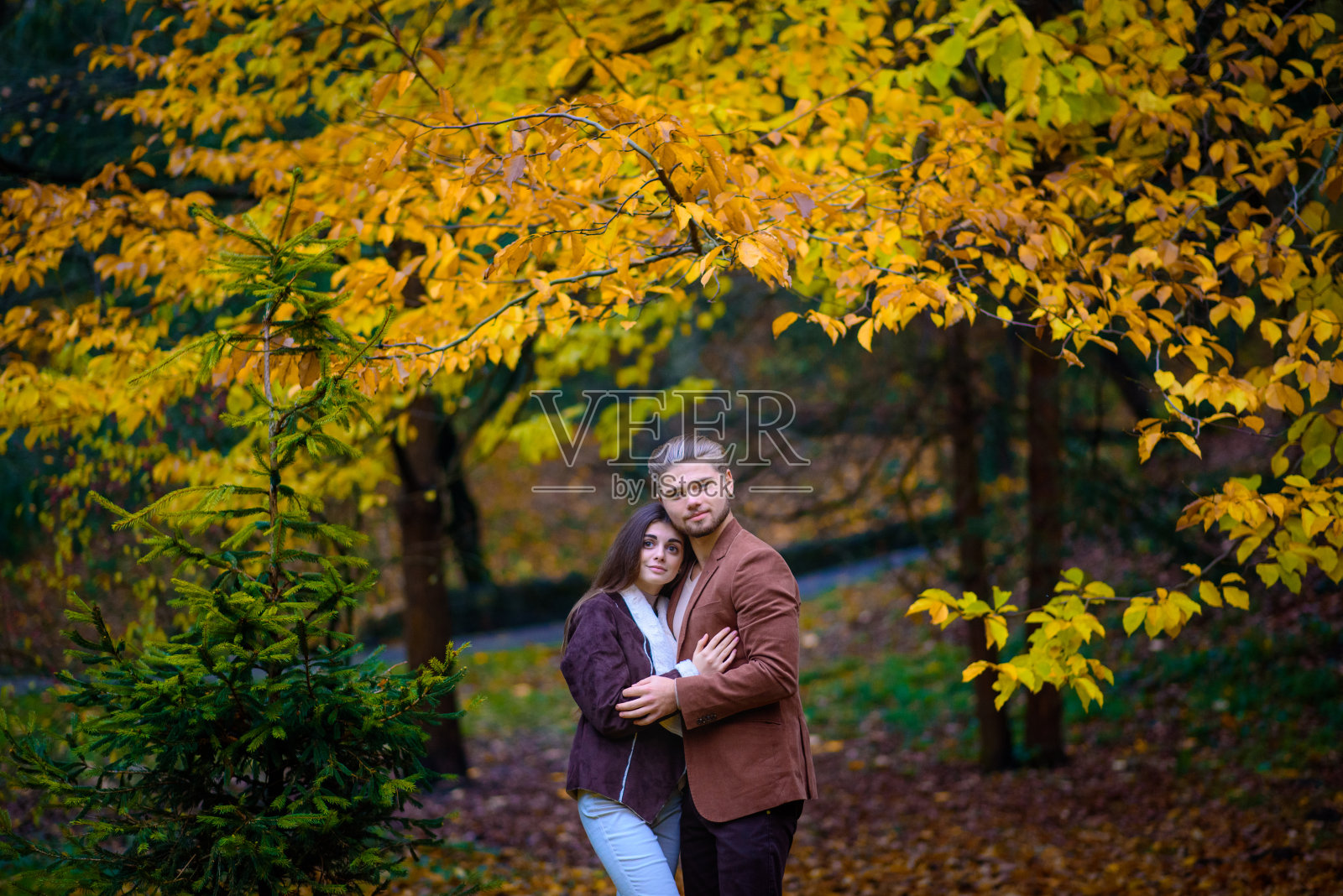 年轻美丽的夫妇在秋天的公园里拥抱。照片摄影图片