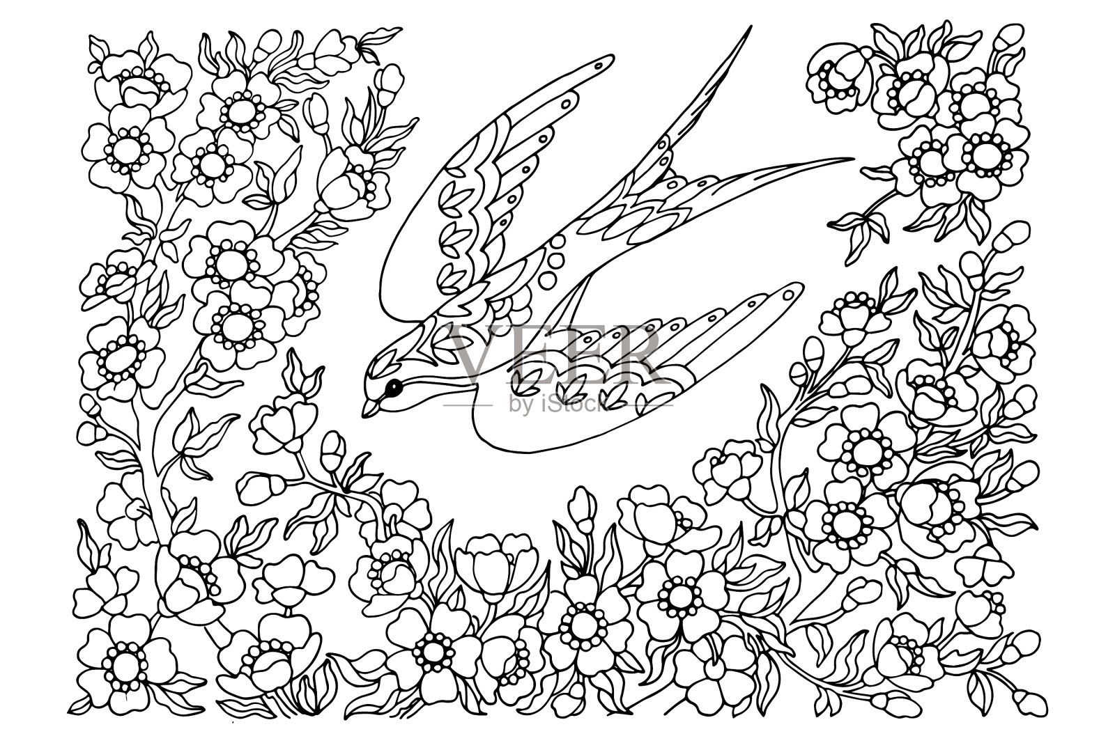 燕子，上色，抗压，飞在一朵盛开的樱花的树枝上，手绘，黑白画，素描，矢量插图插画图片素材