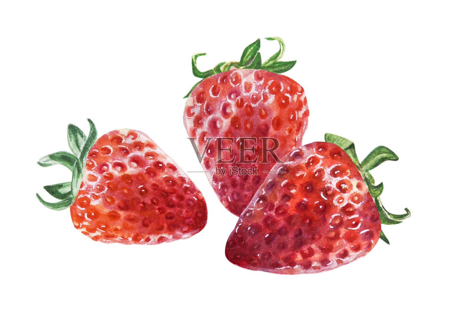 水彩画三个红色多汁的草莓。手绘食物插图。水果打印。插画图片素材