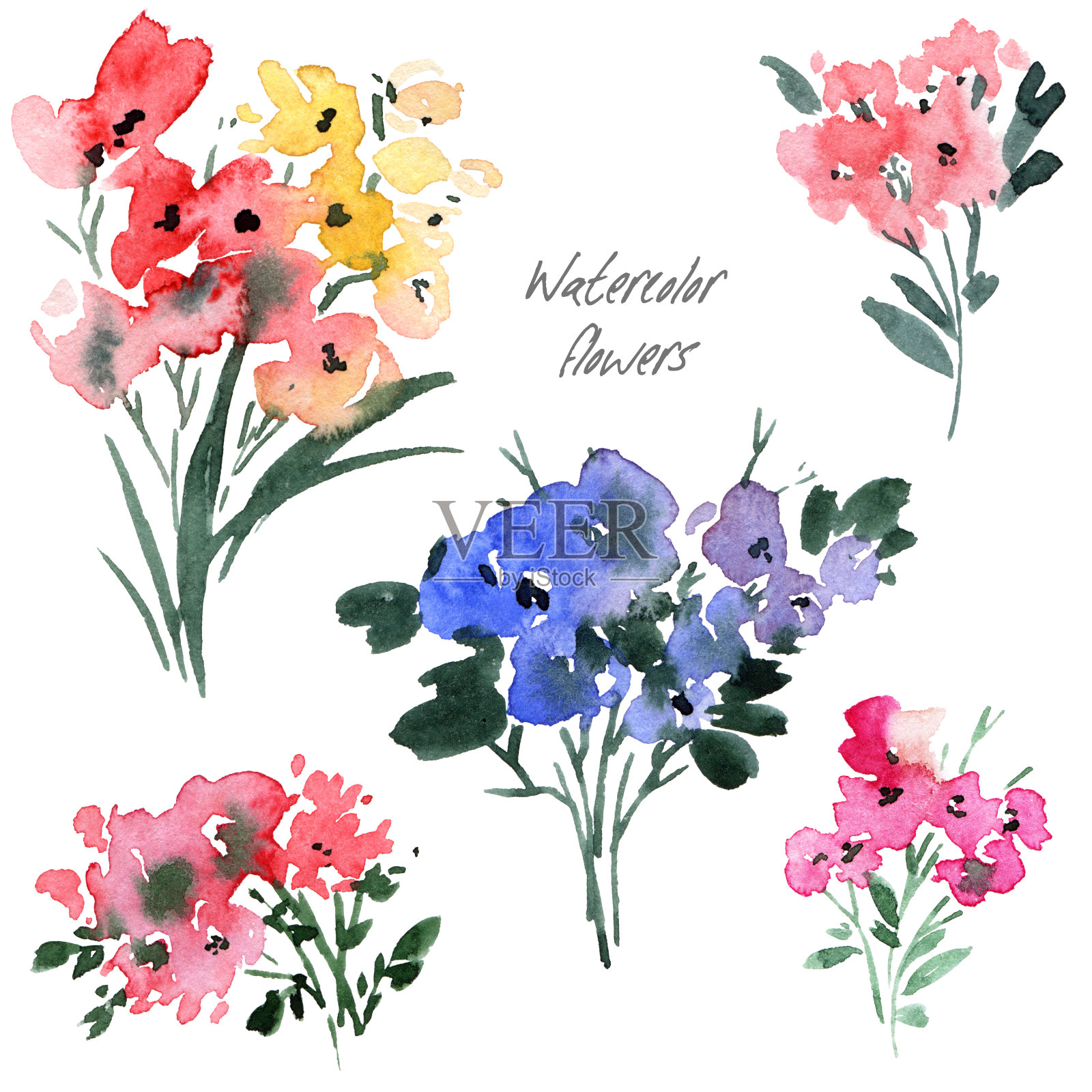 水彩花卉达成协议插画图片素材