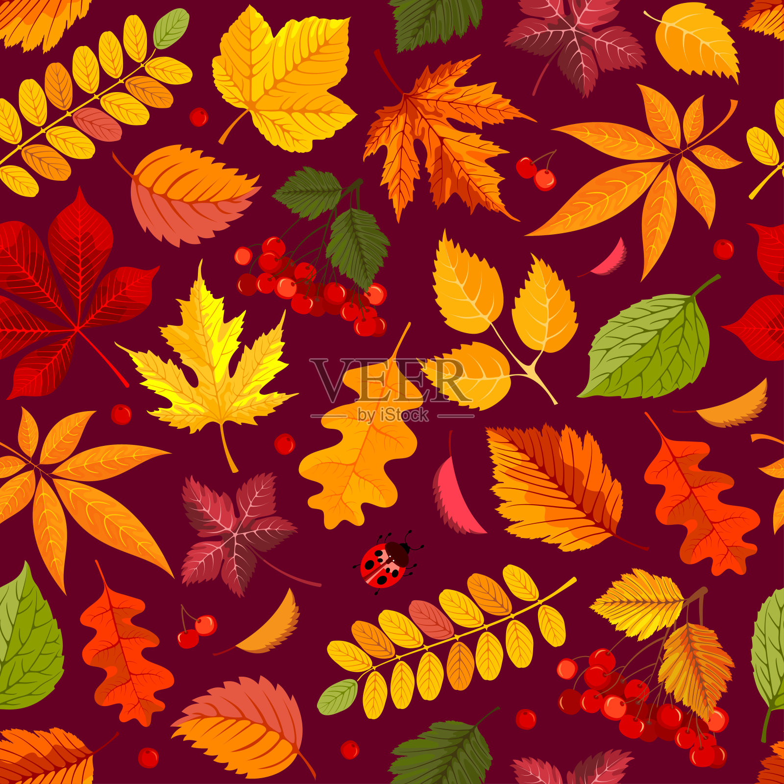 无缝图案与秋叶插画图片素材