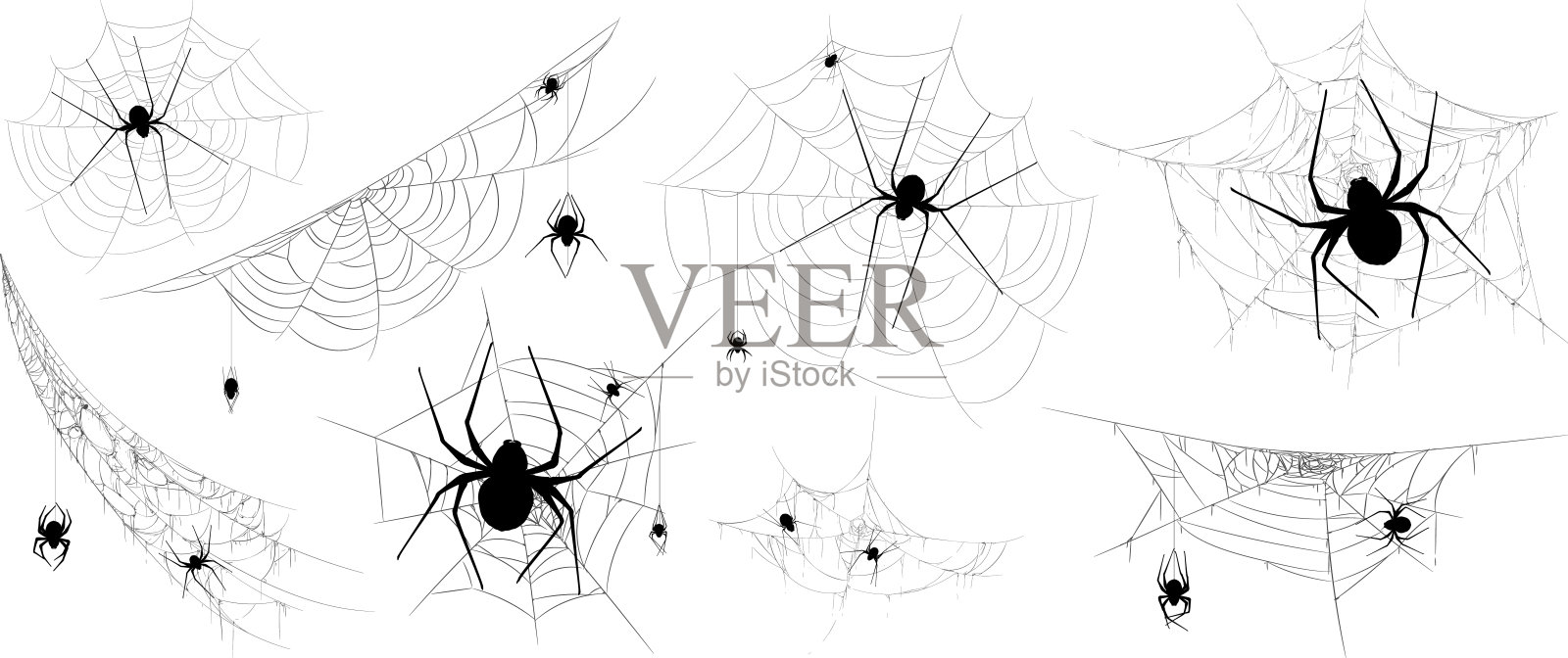 收集蜘蛛，蜘蛛网，孤立的背景。插画图片素材