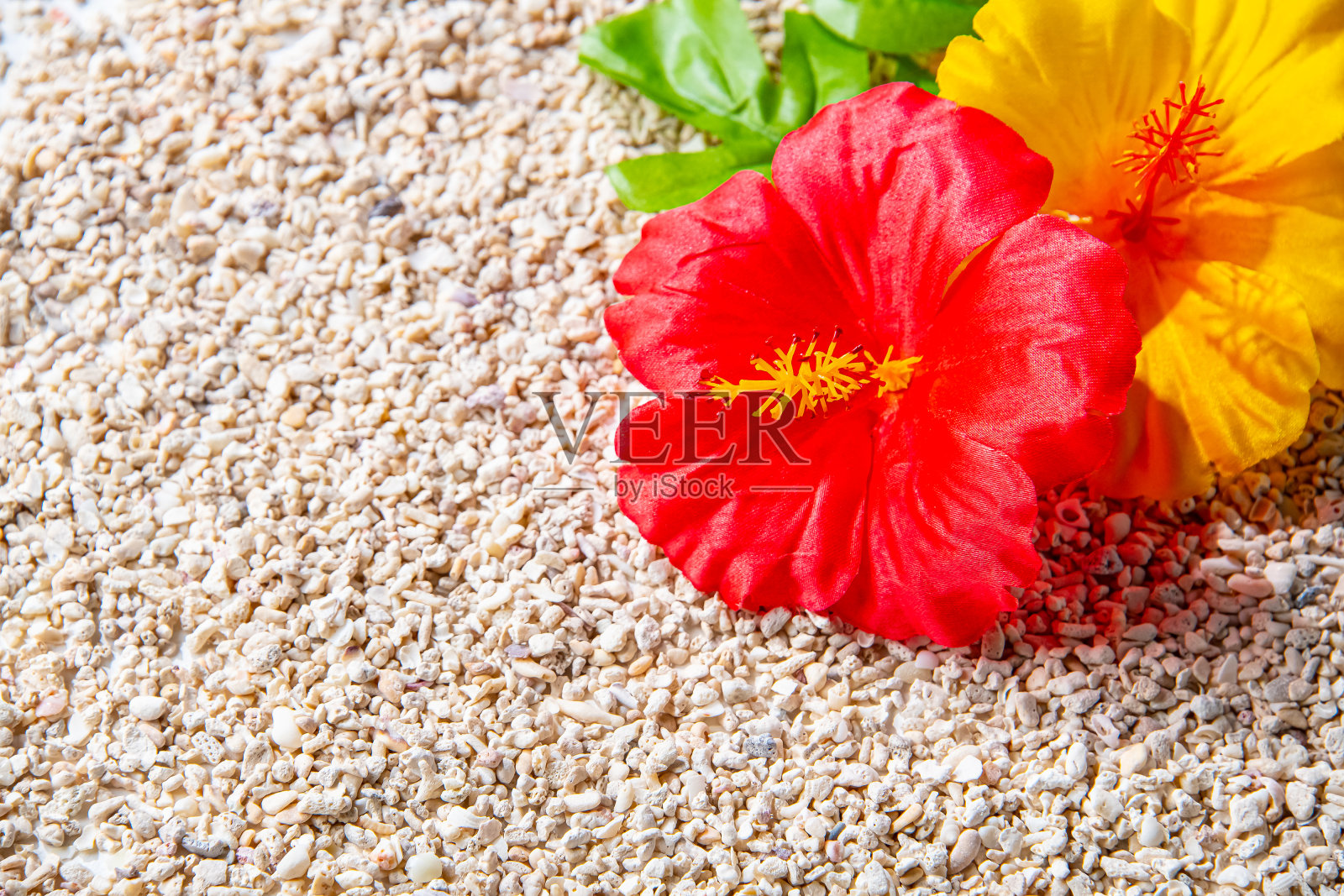 沙土上的人造木槿花。照片摄影图片