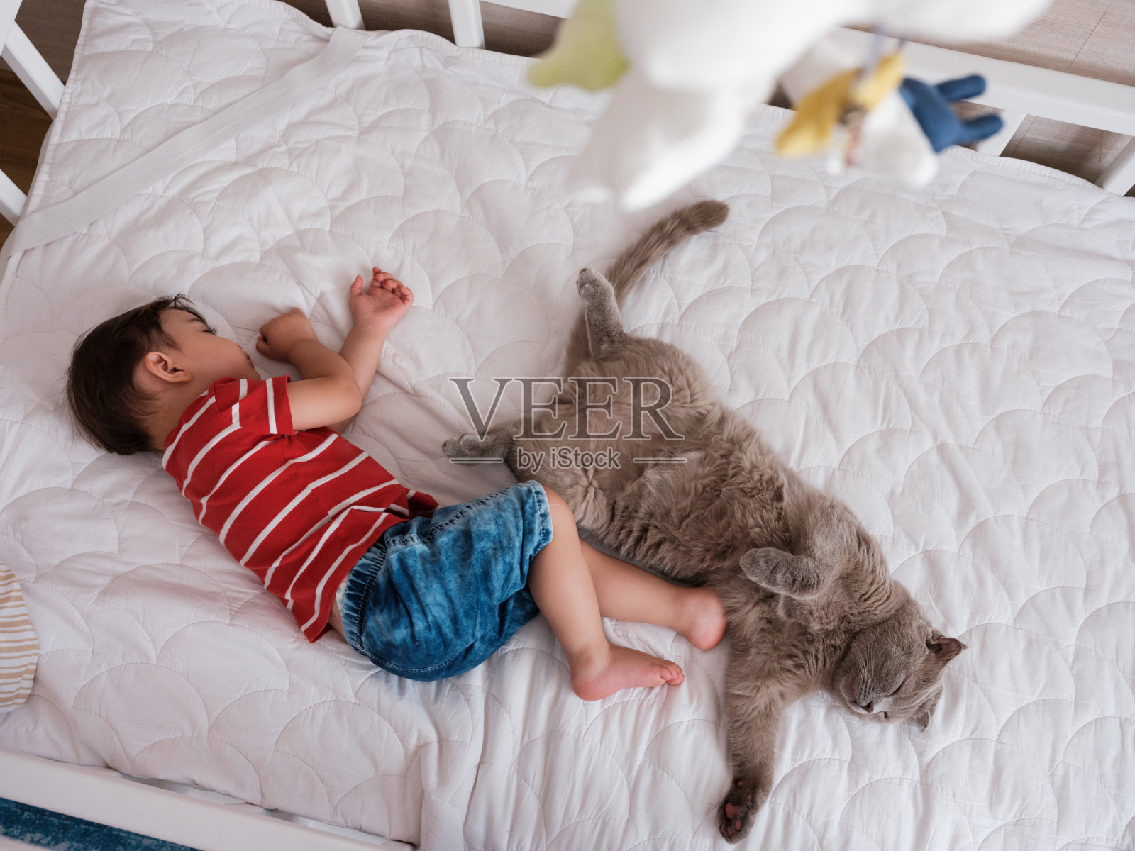 小男孩和猫睡在一起照片摄影图片