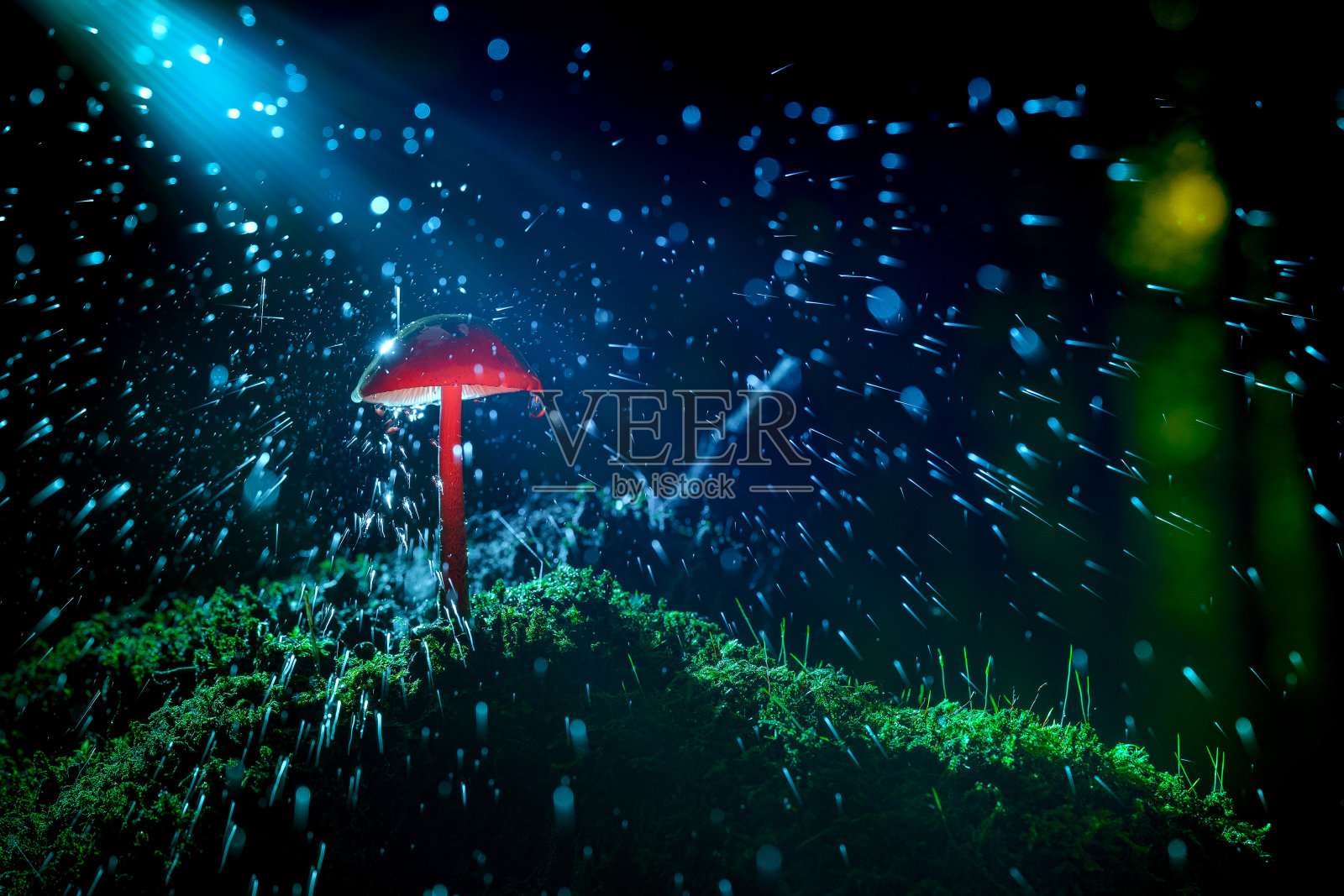 红色蘑菇，溅水照片摄影图片