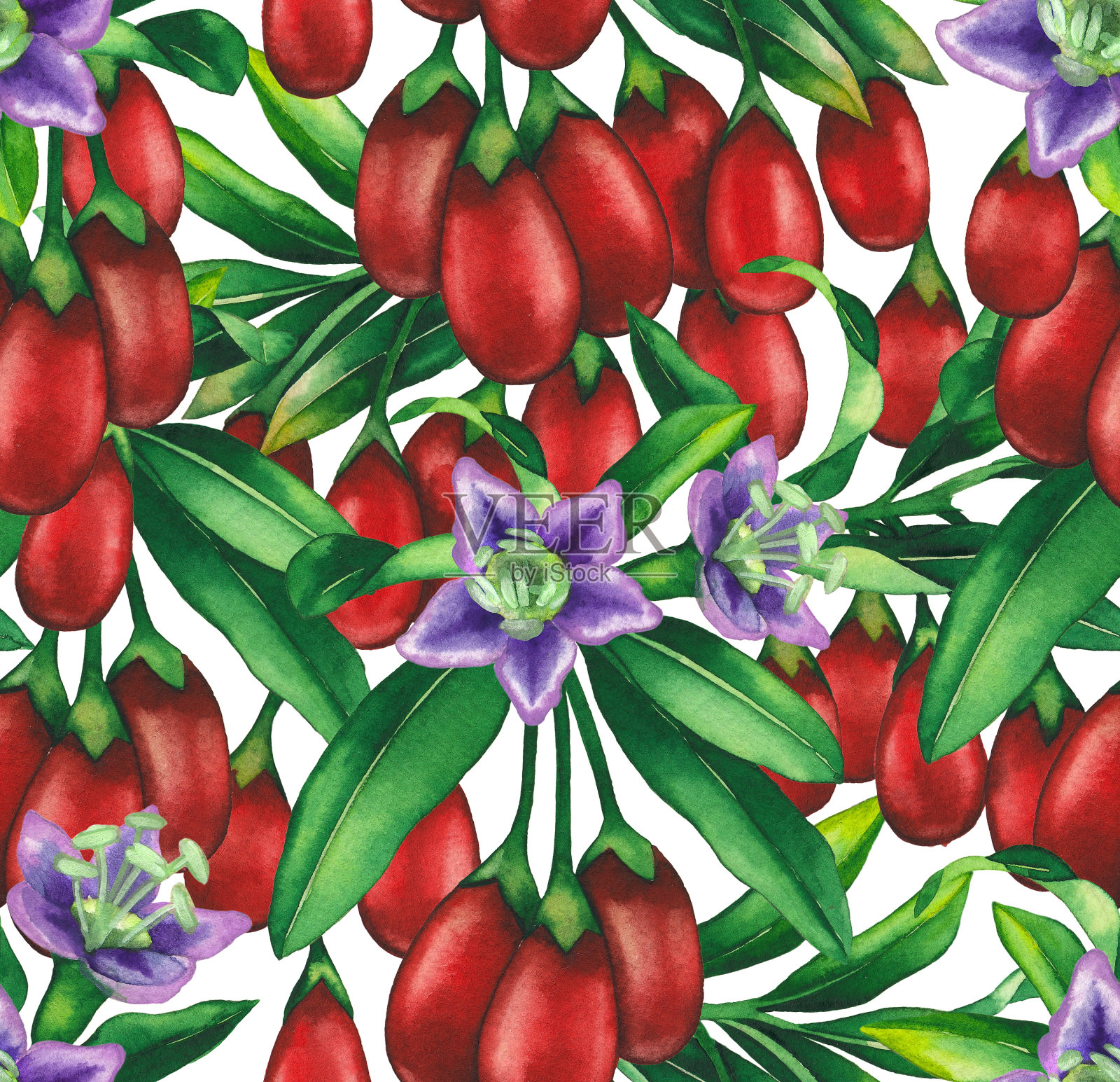 无缝图案的水彩枸杞浆果，花和叶。插画图片素材