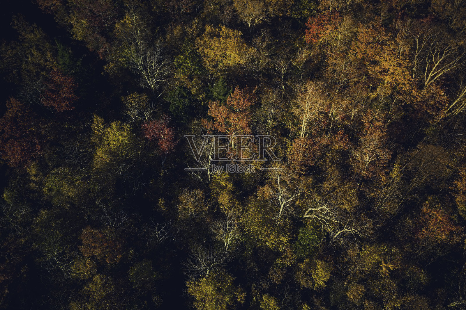 空中高角度视图的森林在秋天的风景，在佛蒙特色彩斑斓的树木照片摄影图片