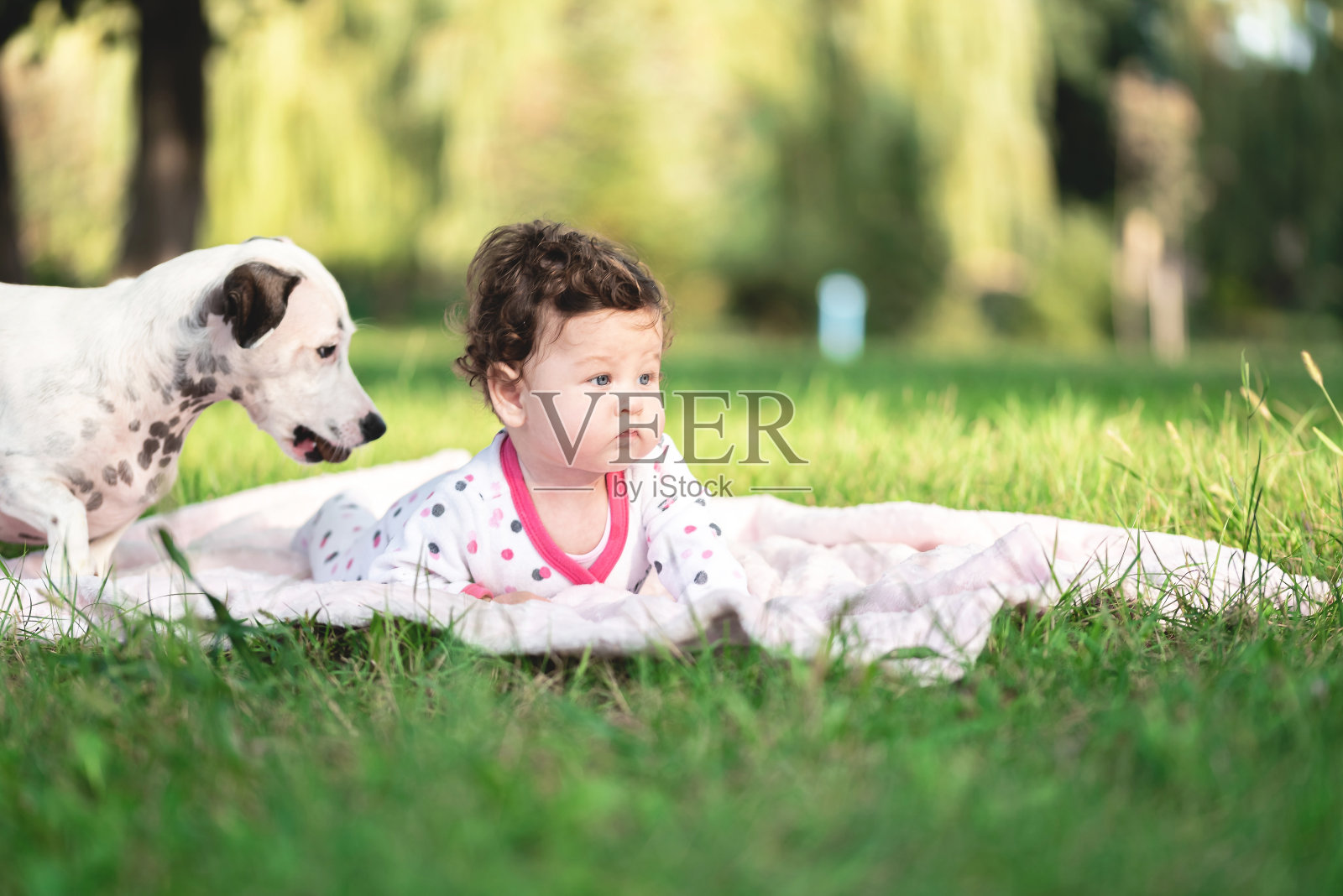 公园里，小女孩和小狗坐在毯子上照片摄影图片