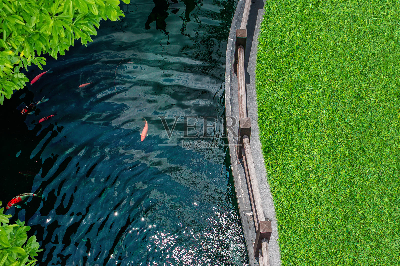 俯瞰池塘淡水与室外花园绿地草地。照片摄影图片