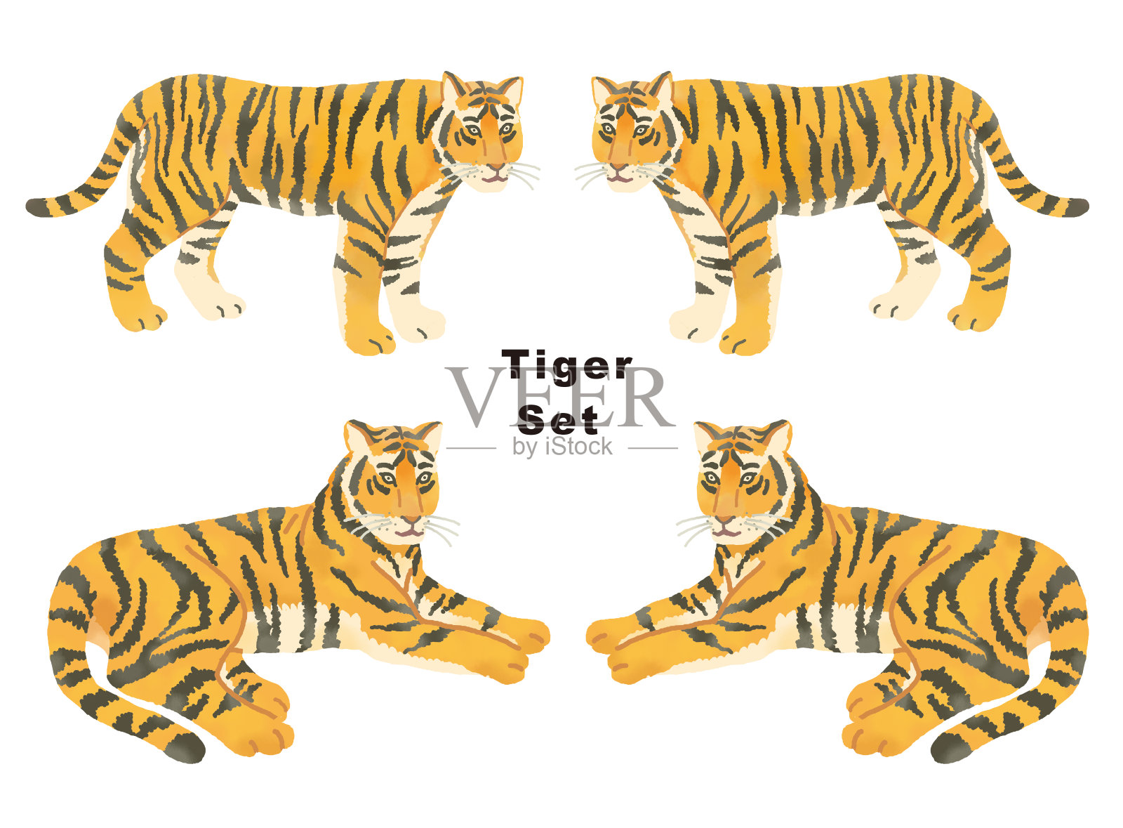 新年贺卡剪的一个现实和时尚的老虎插图标题插画图片素材