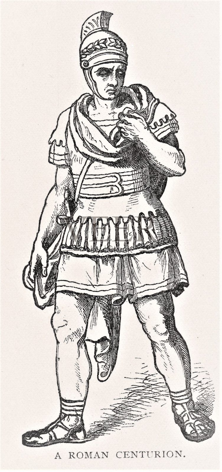 罗马士兵,历史插画图片素材