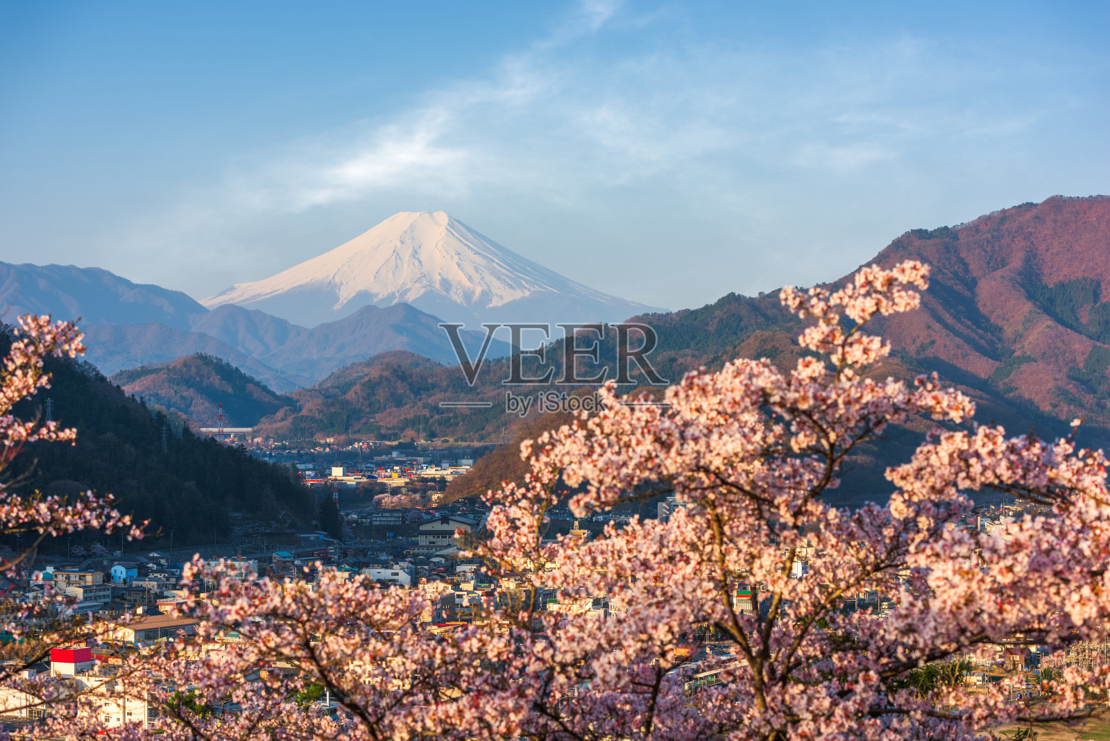 日本大月城与富士山在春天的季节照片摄影图片