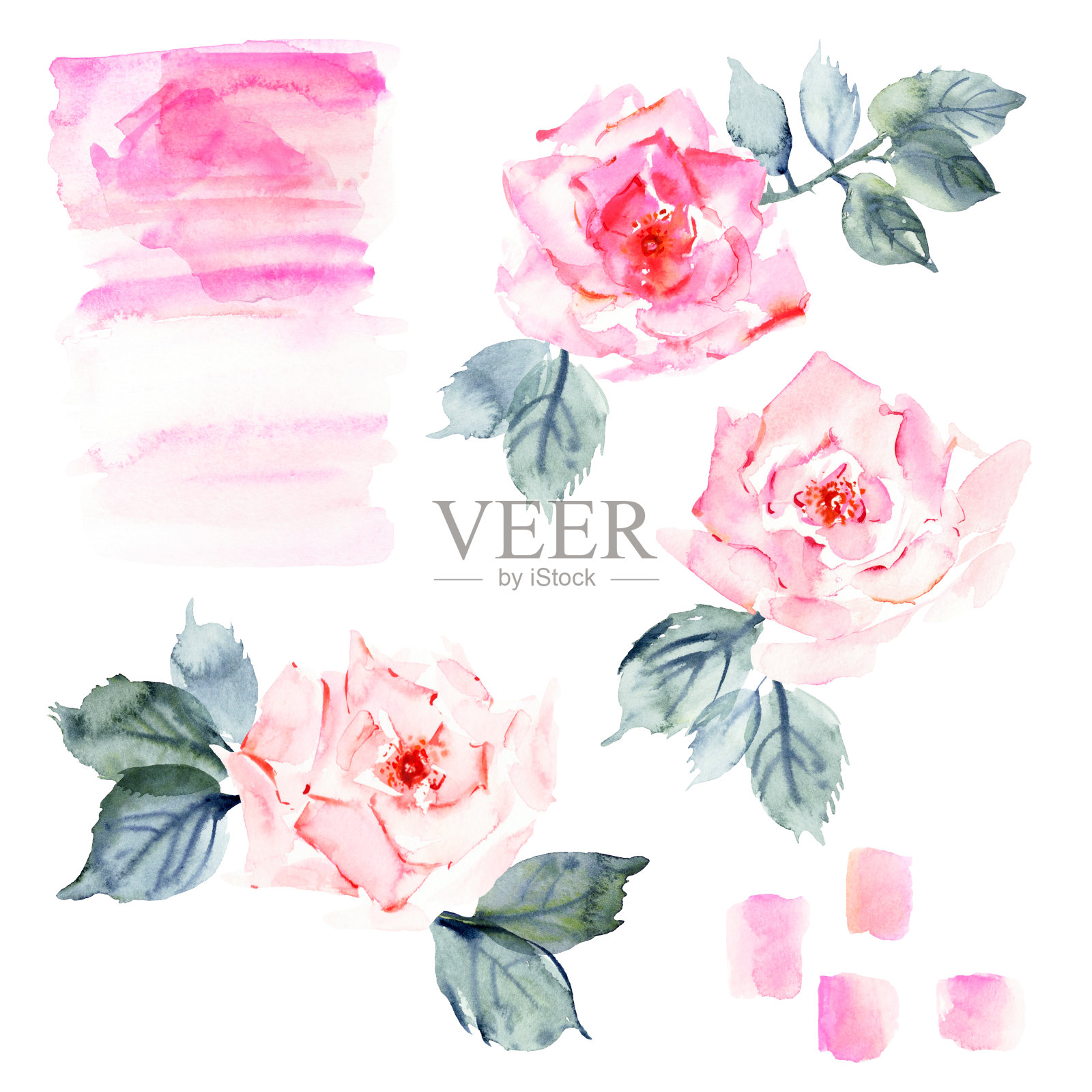 手绘水彩玫瑰花，树叶和树枝，粉红色的污渍插画图片素材