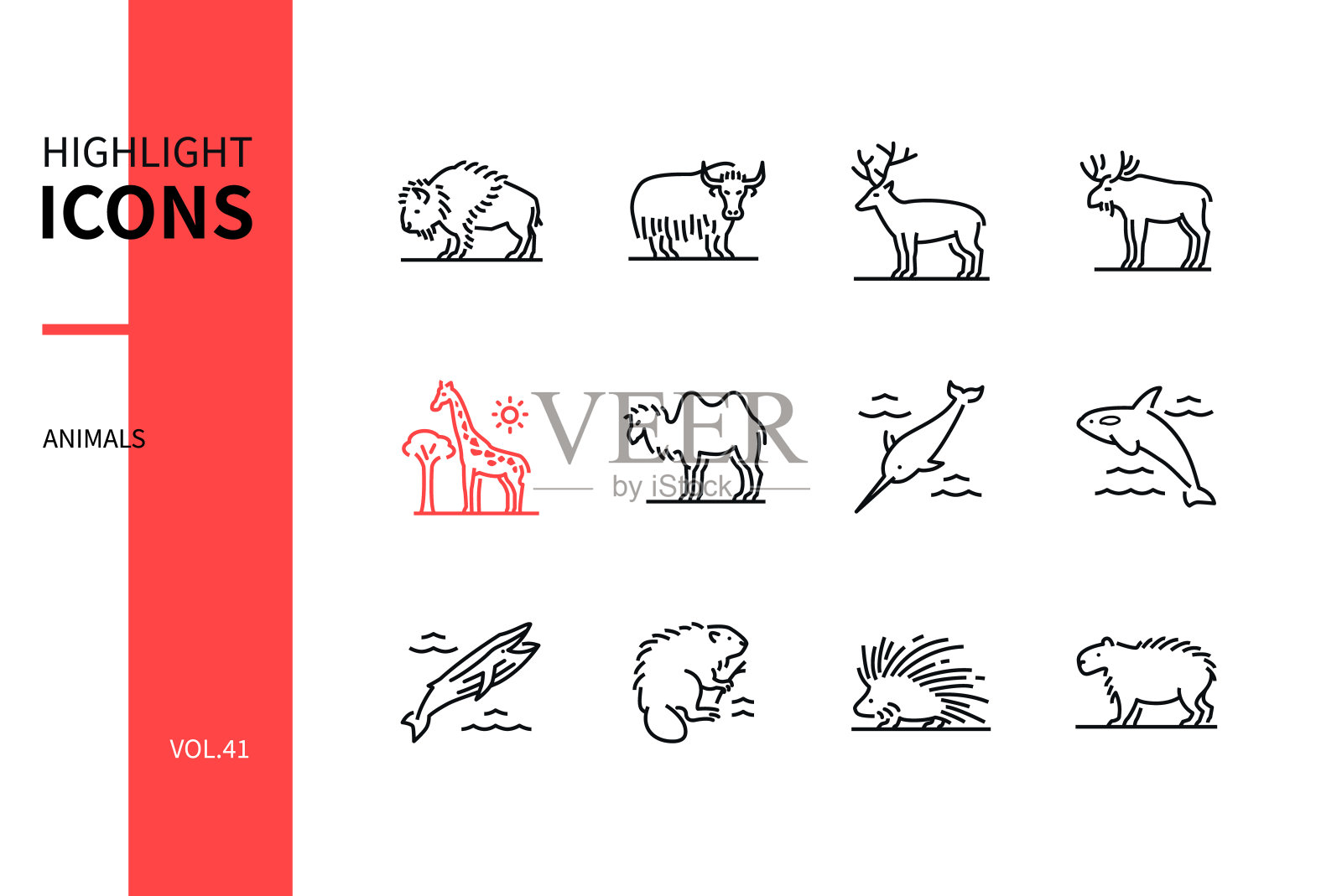动物系列-现代线条设计风格图标集插画图片素材