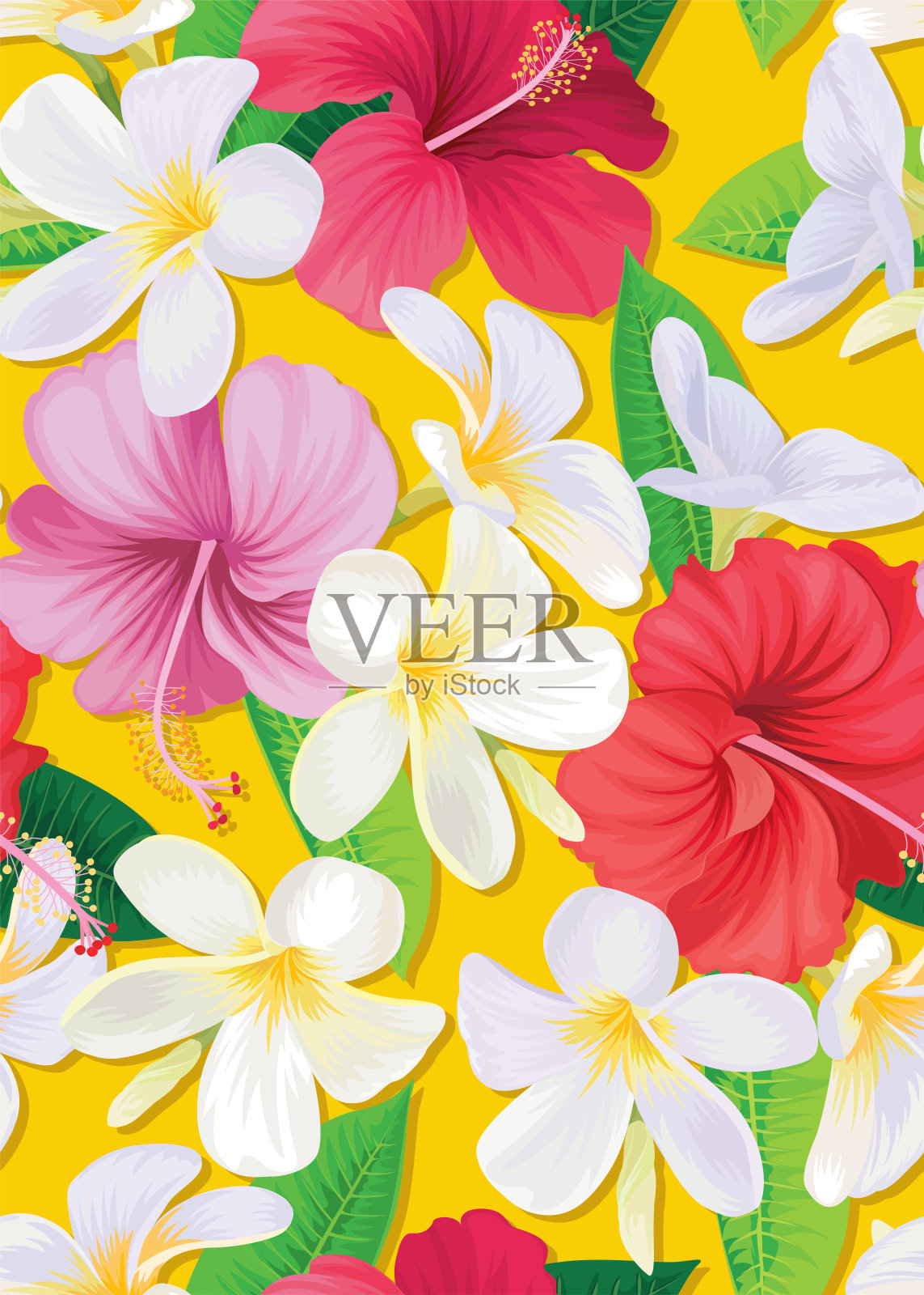 无缝热带木槿花和鸡蛋花背景。向量集鲜花盛开的节日邀请，贺卡和时尚设计。插画图片素材