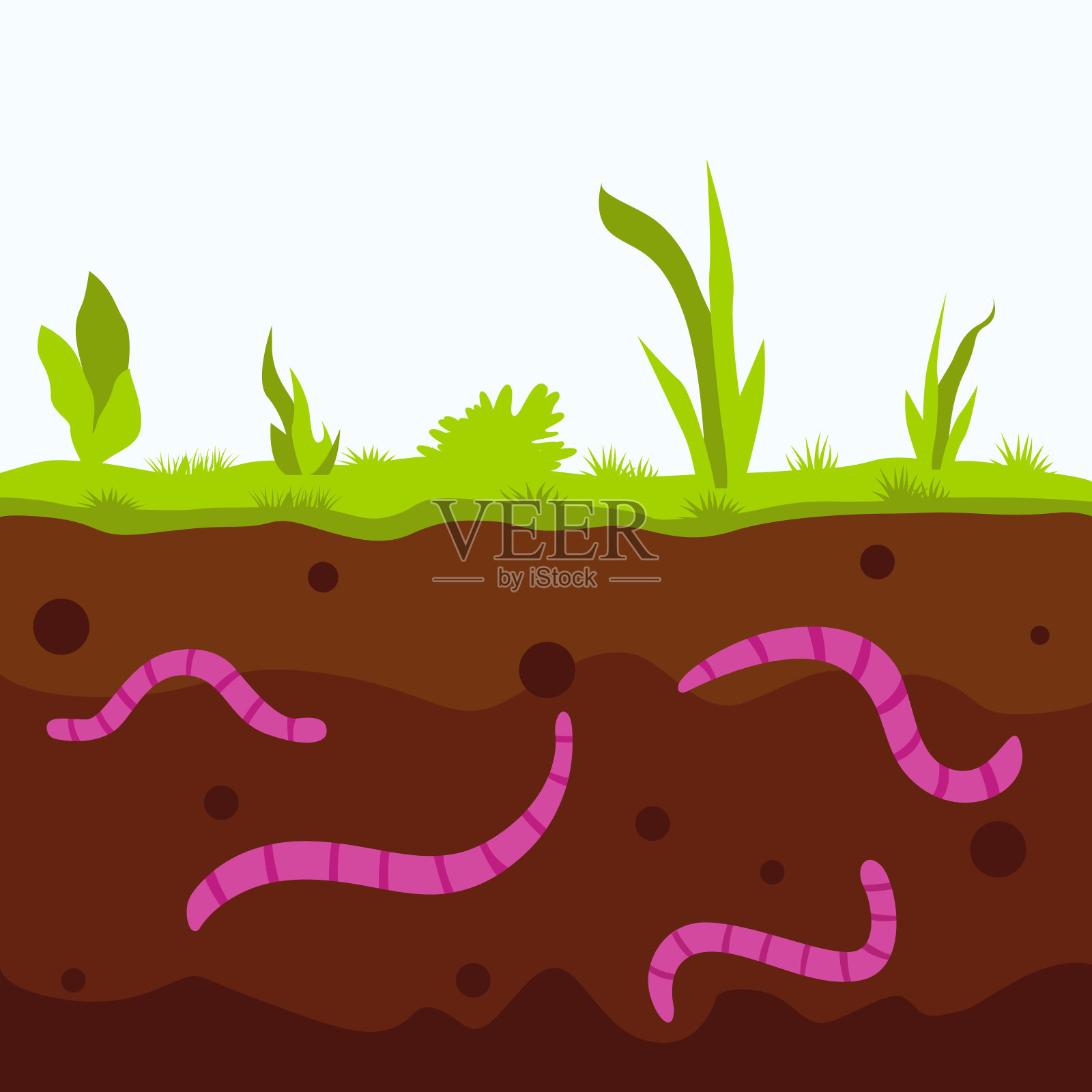 蚯蚓怎么养殖繁殖最快的方法(这么培育蚯蚓繁殖快又高产)_金纳莱网