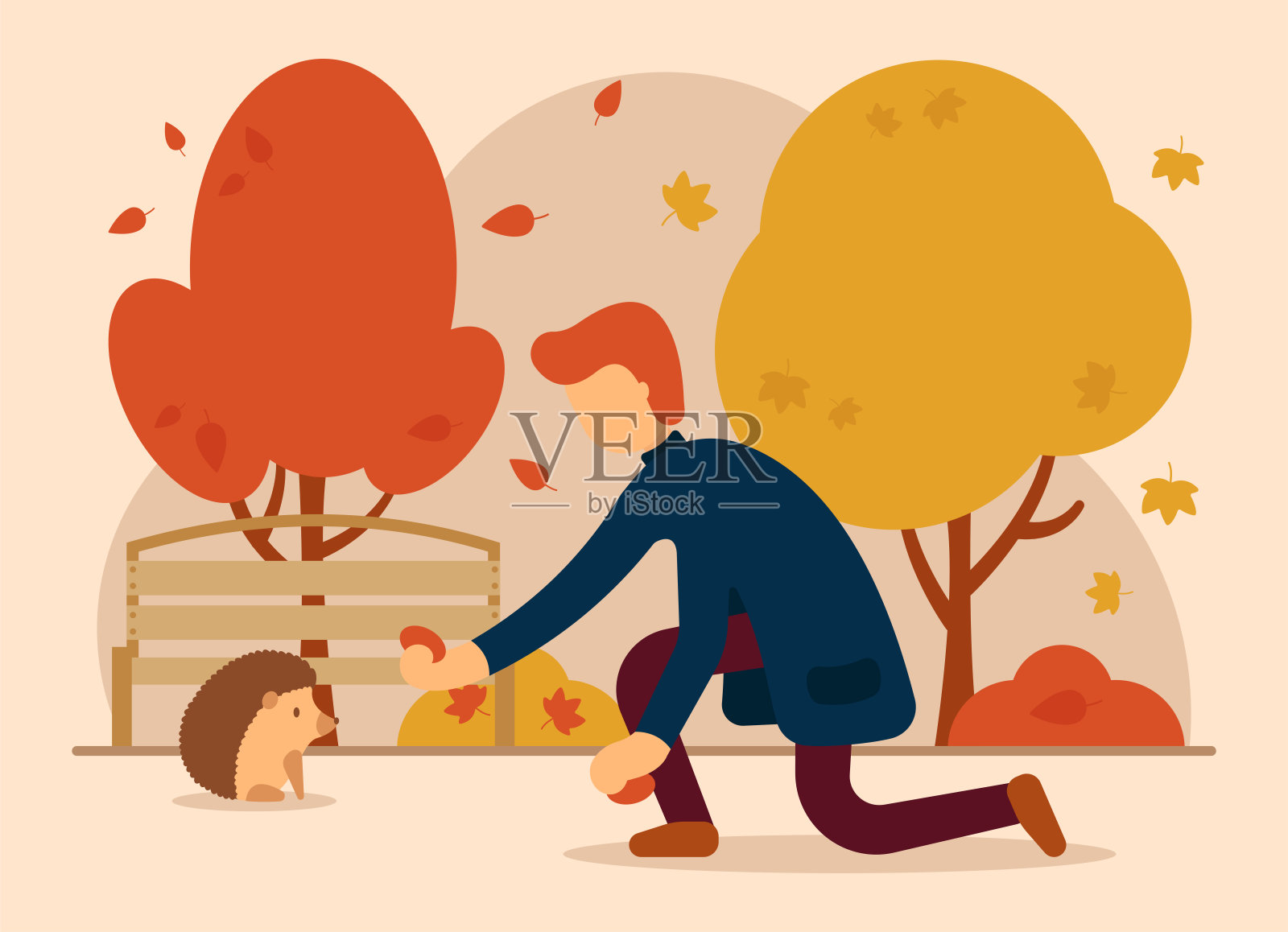 秋天矢量的概念。一个男人在一个美丽的秋天公园里用他的手喂一只刺猬。秋天的动物。可用于网站和网页横幅。插画图片素材
