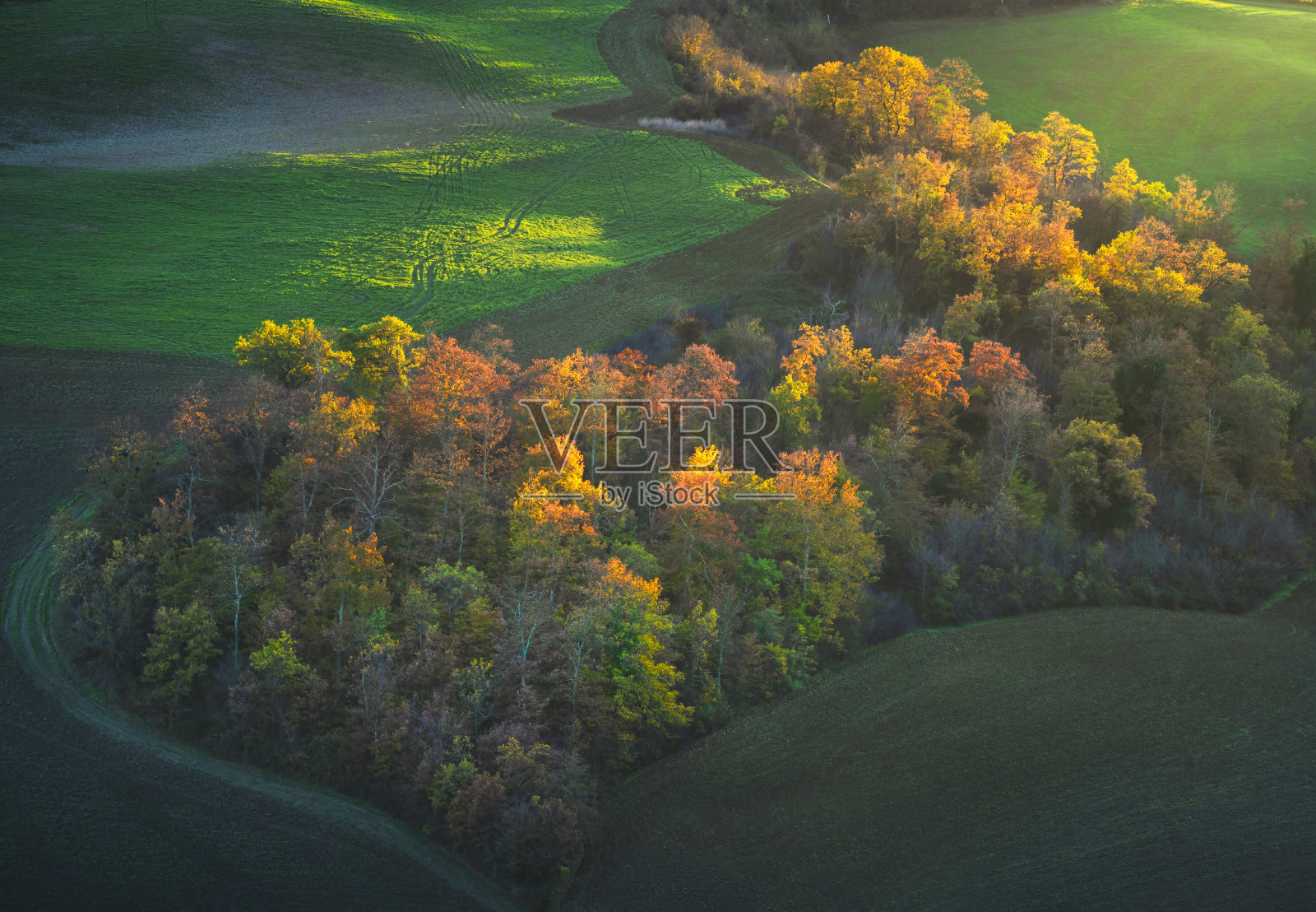 秋天的风景，连绵的山峦和五颜六色的树林。Asciano锡耶纳,托斯卡纳。意大利照片摄影图片