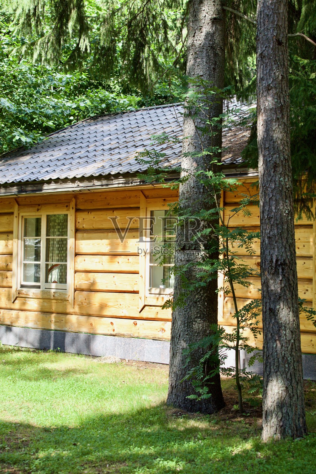 现代的木屋建在森林里落叶树林中的绿色草地上照片摄影图片