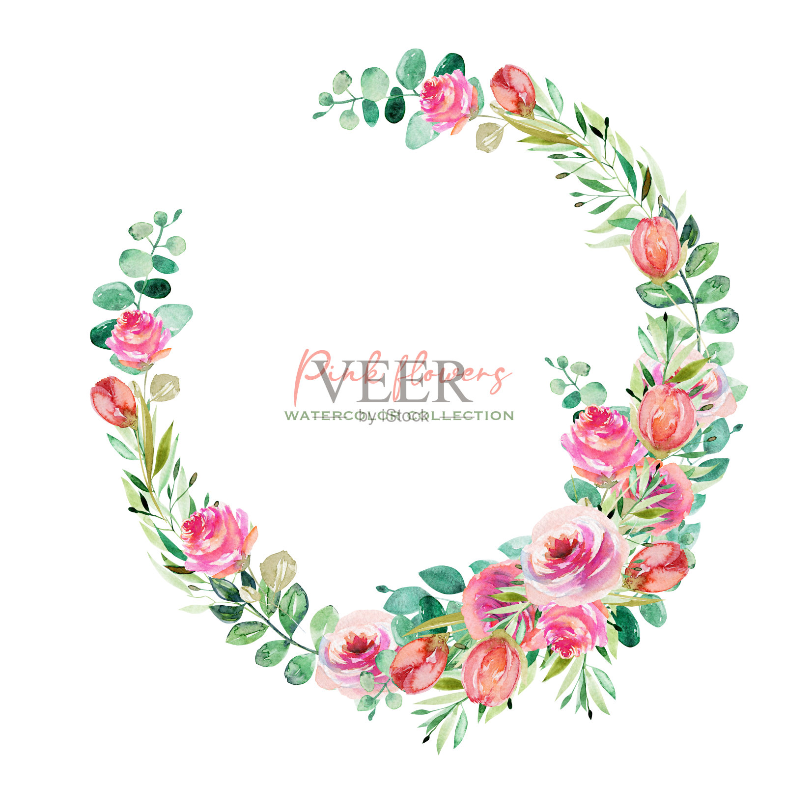 水彩玫瑰花环，绿叶和桉树枝，孤立插图插画图片素材