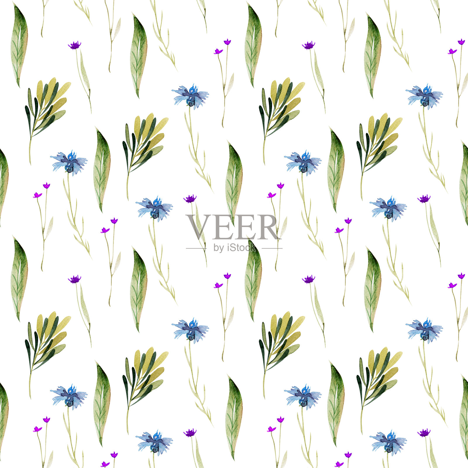 水彩无缝模式的矢车菊，野花，绿色的叶子和树枝，插图在白色的背景插画图片素材