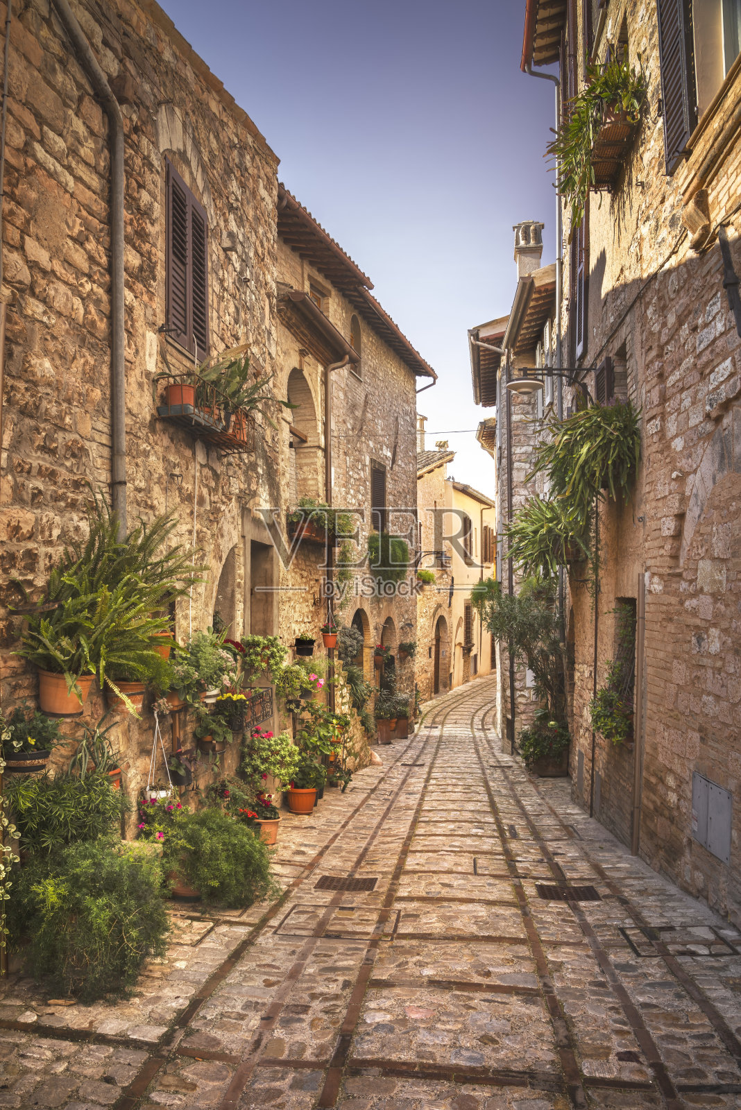 斯佩洛风景如画的街道和植物。翁布里亚、意大利佩鲁贾。照片摄影图片