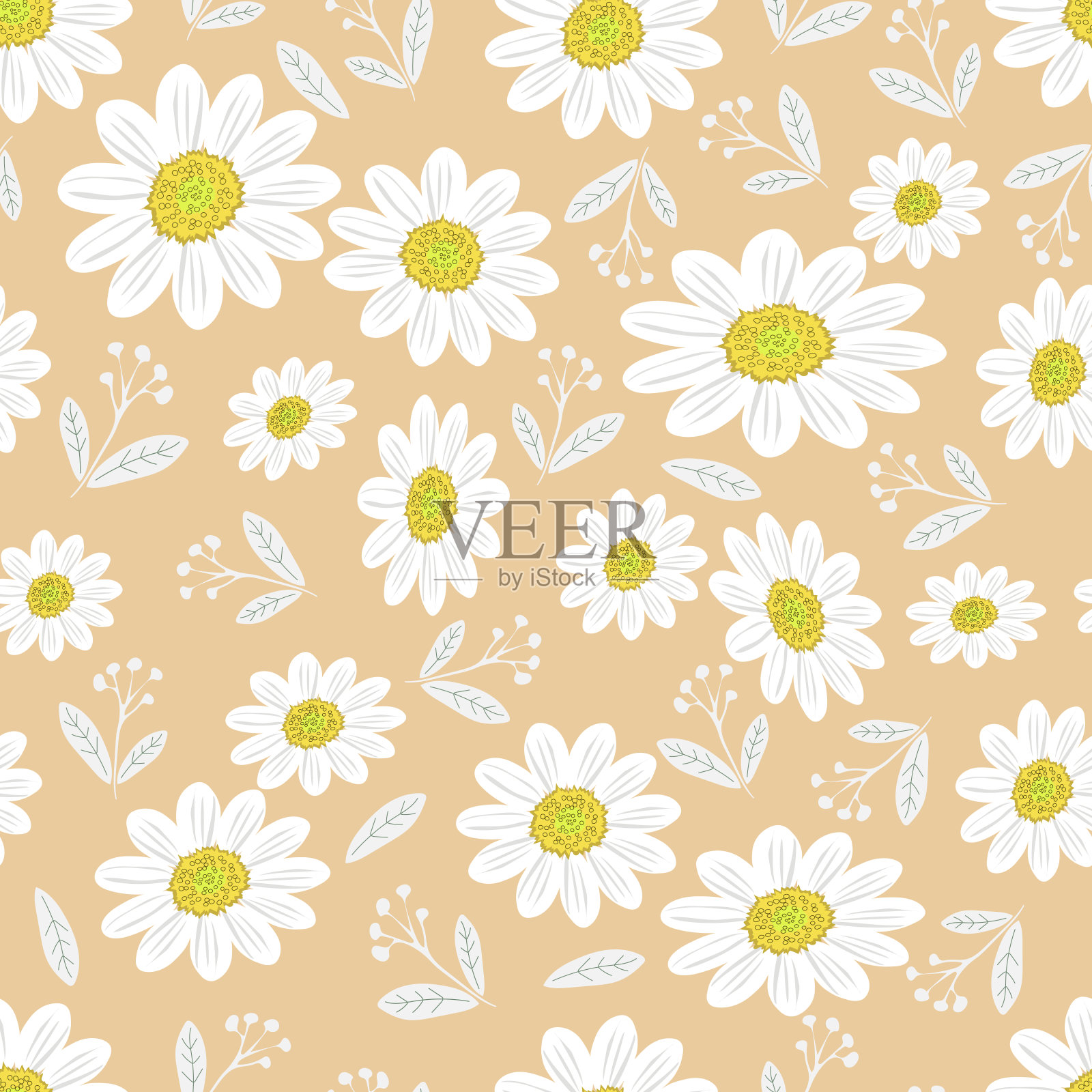 野生菊花的花。无缝夏季模式与大花在米色背景。用于织物、纺织品、枕头、纸张、室内设计等印花。矢量图形。插画图片素材