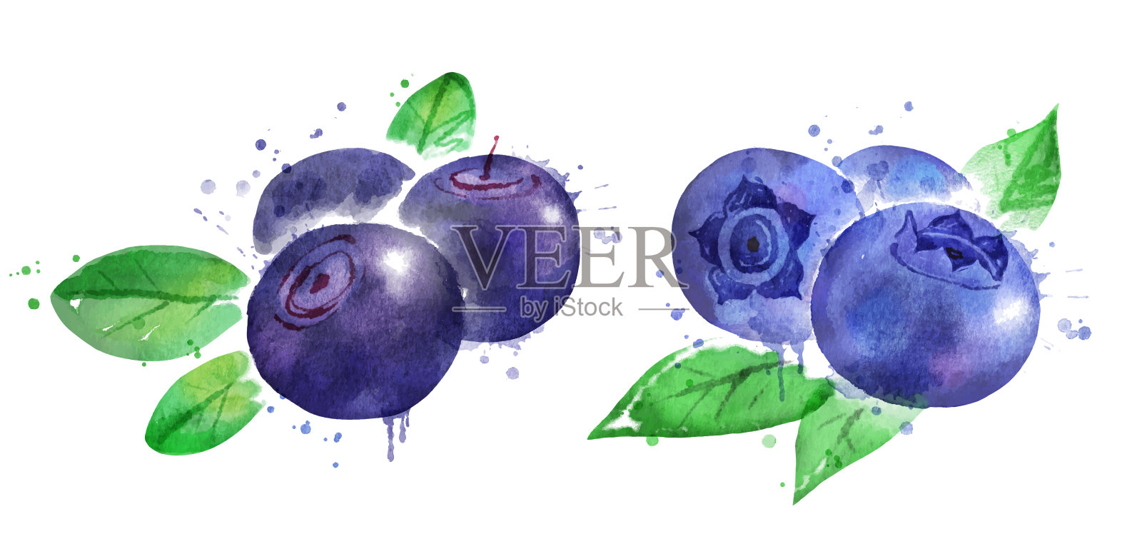 越桔和蓝莓的水彩插图设计元素图片