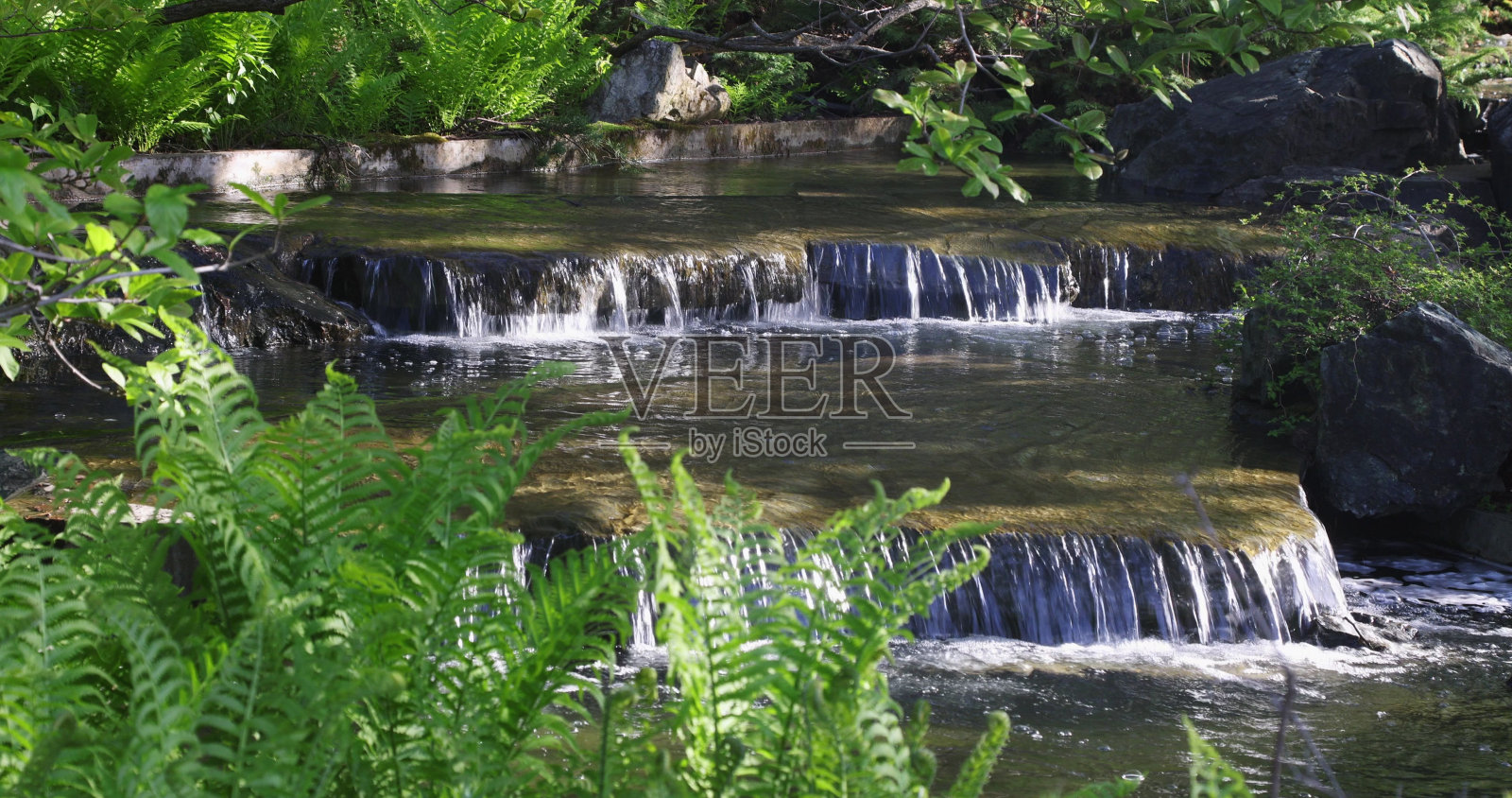 美丽的瀑布与蕨类植物照片摄影图片