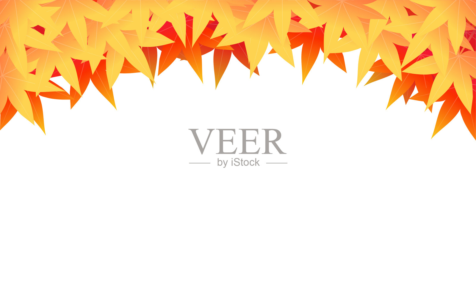 秋叶背景材料，秋叶上面，白色的背景插画图片素材