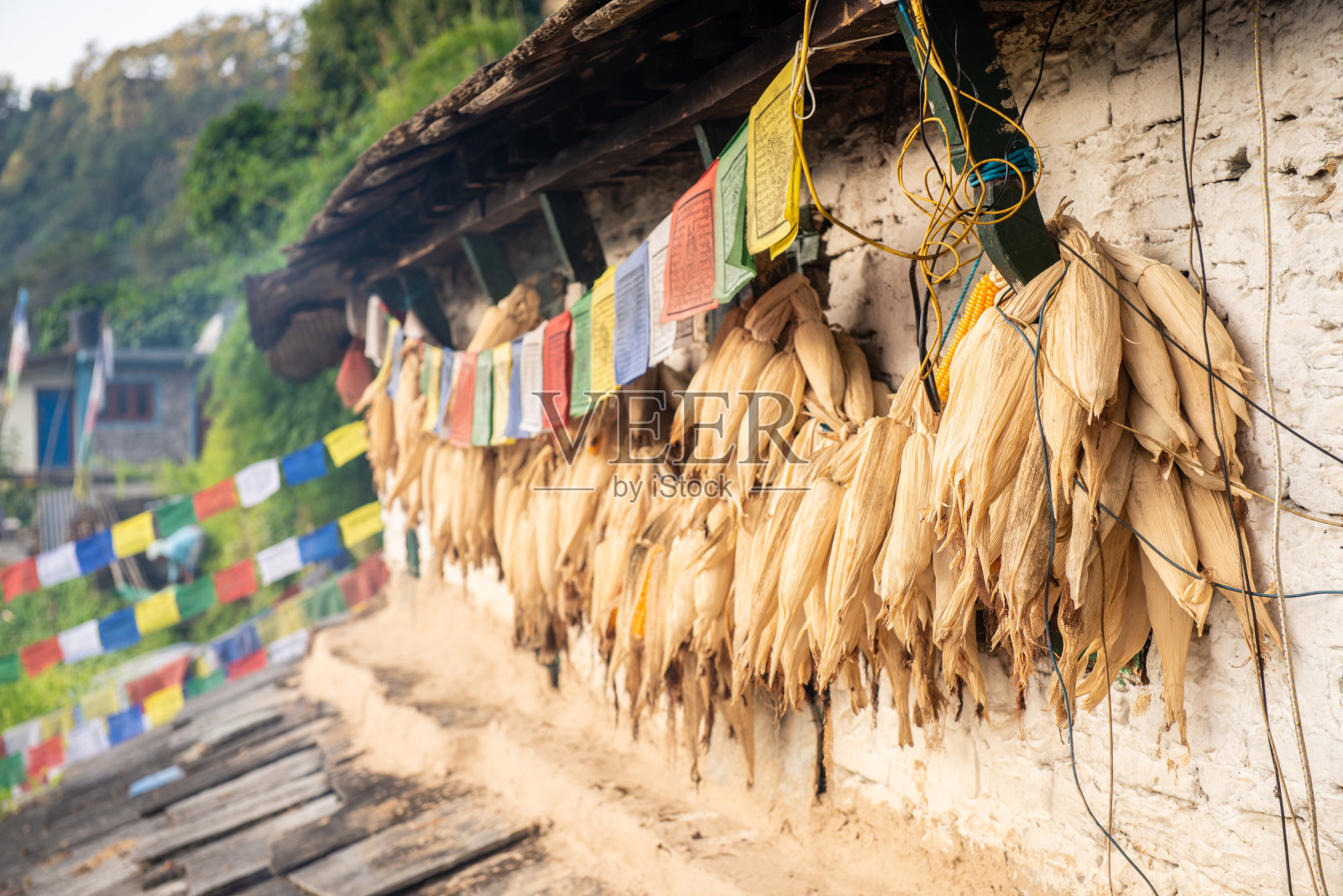 尼泊尔Ghandruk村，当地房屋外挂着一排排的玉米棒。照片摄影图片