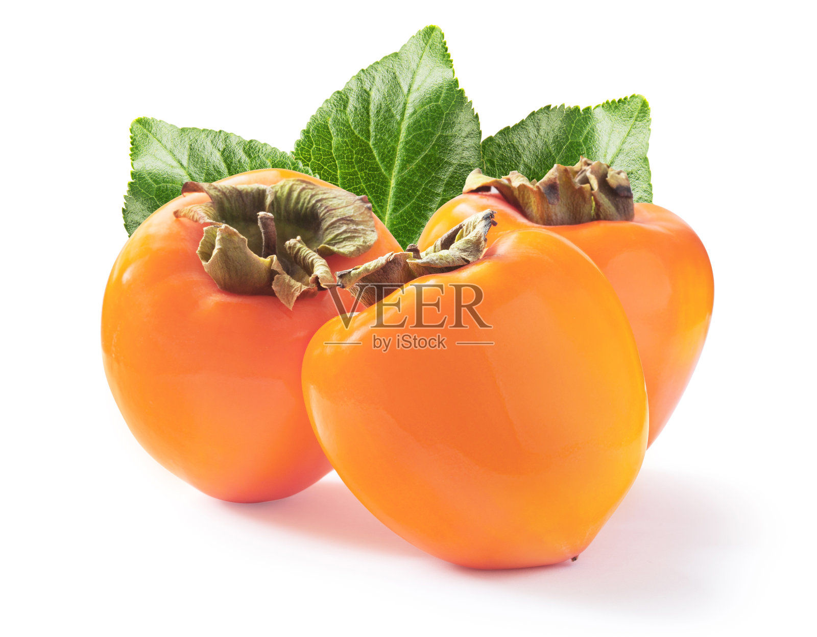 三个成熟多汁的柿子，绿叶孤立在白色背景上照片摄影图片