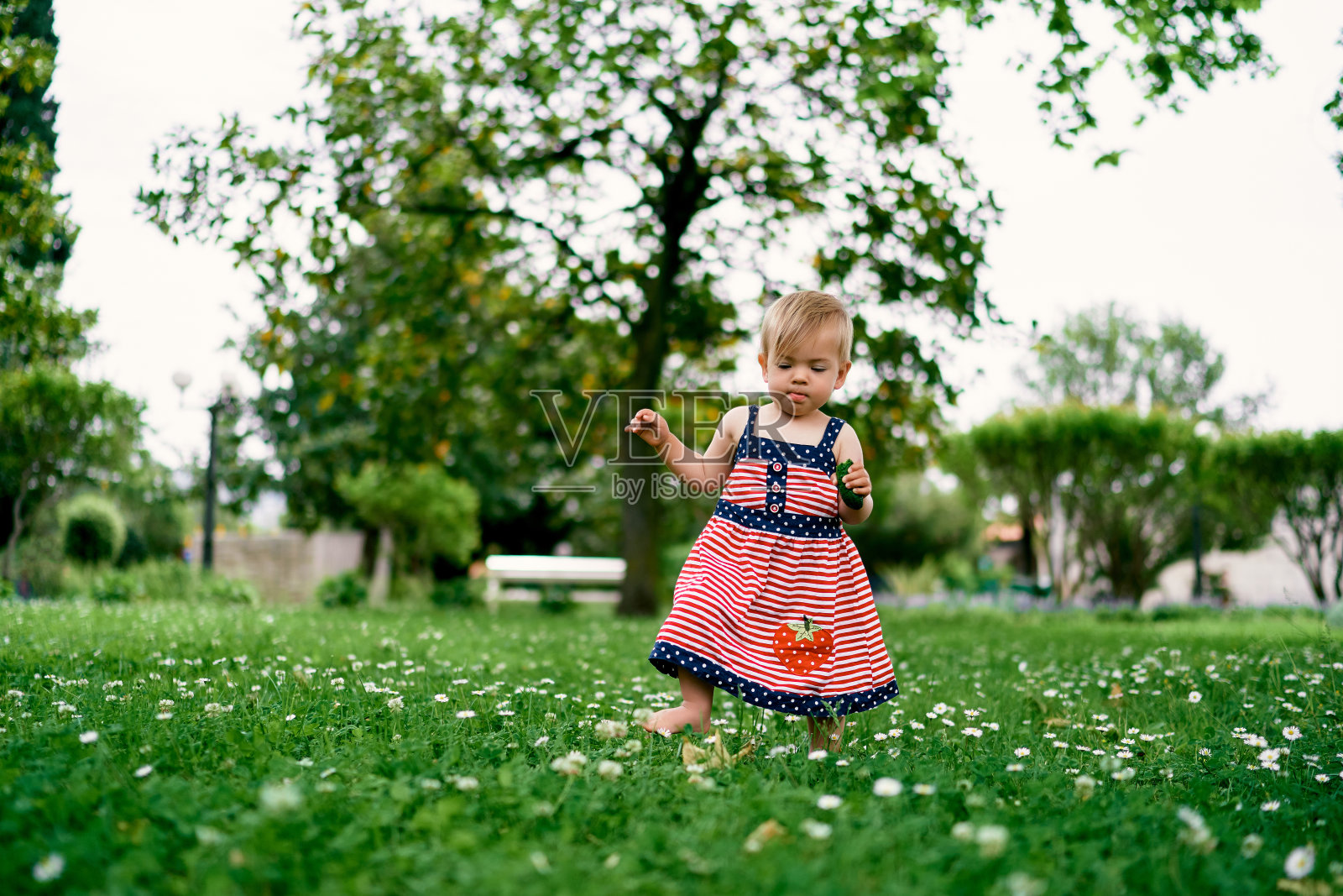 小女孩手里拿着一根黄瓜走在鲜花草地上照片摄影图片