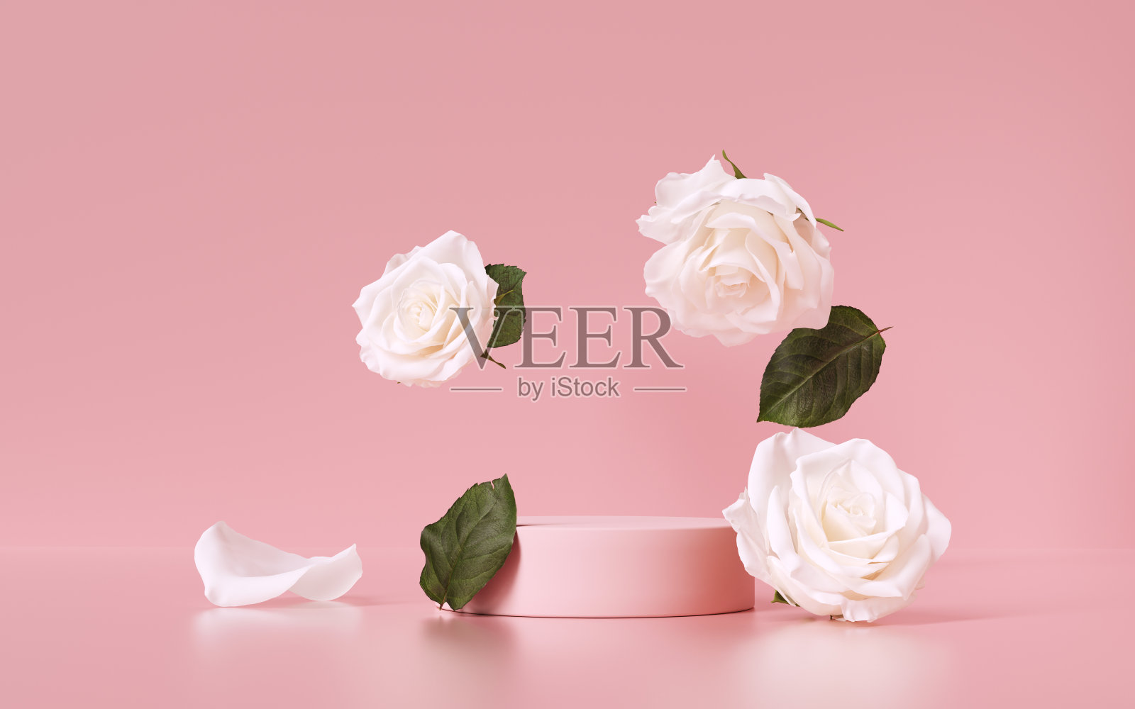 抽象的最小场景与落花-对象展示模型，化妆品美容产品推广背景与粉色基座和白玫瑰。3d渲染花卉浪漫对象放置包装设计照片摄影图片