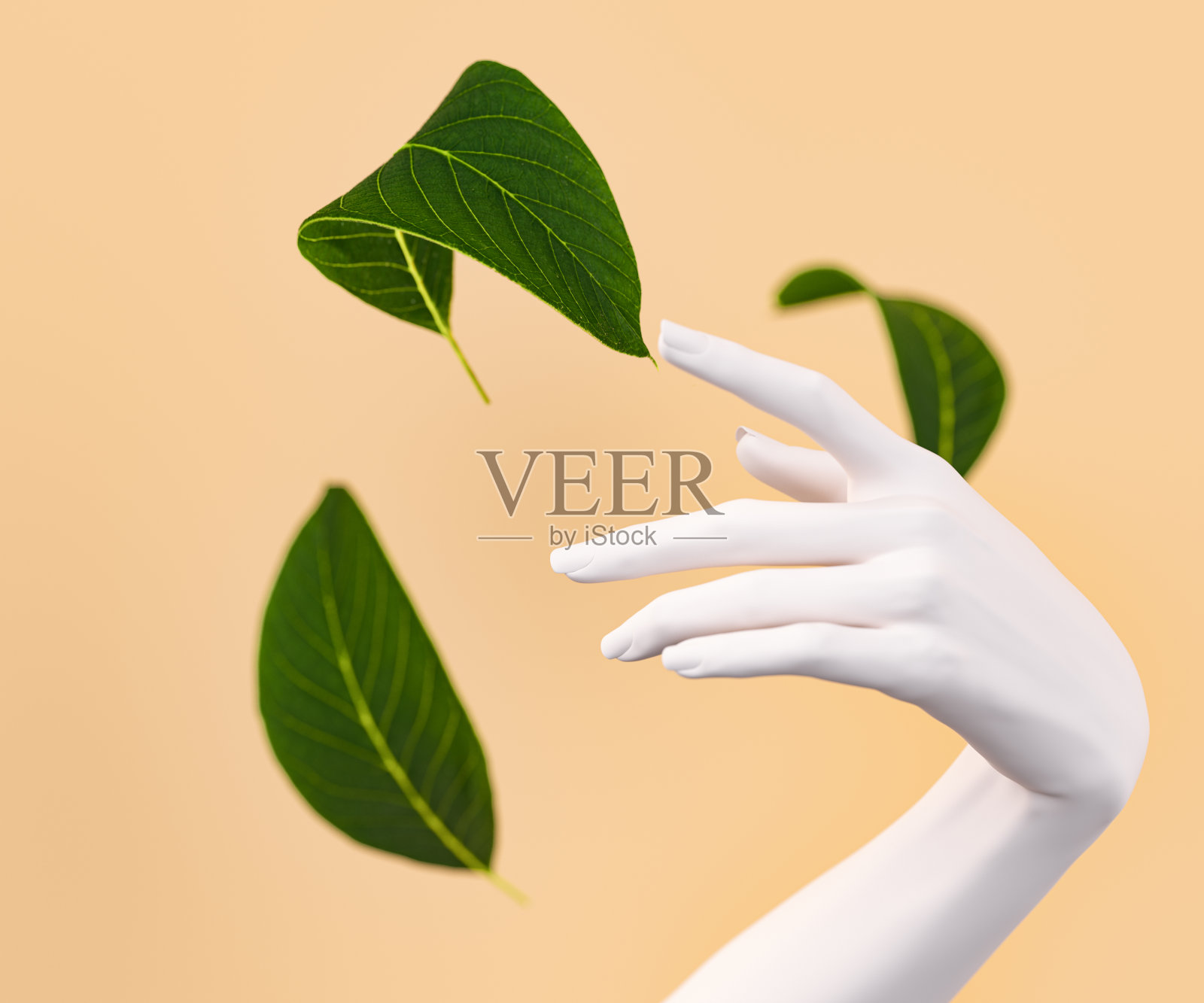 白色女性的手触摸一个飘落的绿叶-自然有机美容产品概念3d渲染横幅。照片摄影图片